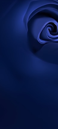 Close-up of a pastel blue rose with subtle heart-shaped petals