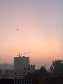A skyline during sunset with a clear gradient from pink to purple in the sky, featuring a silhouetted construction site with a tall crane and several buildings. A lone bird is flying in the sky, and there is greenery visible on the right side of the image.