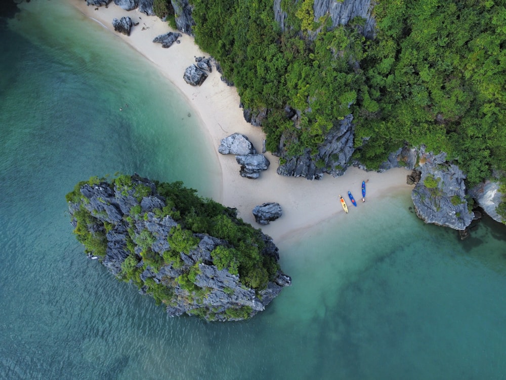 a beach with rocks and trees