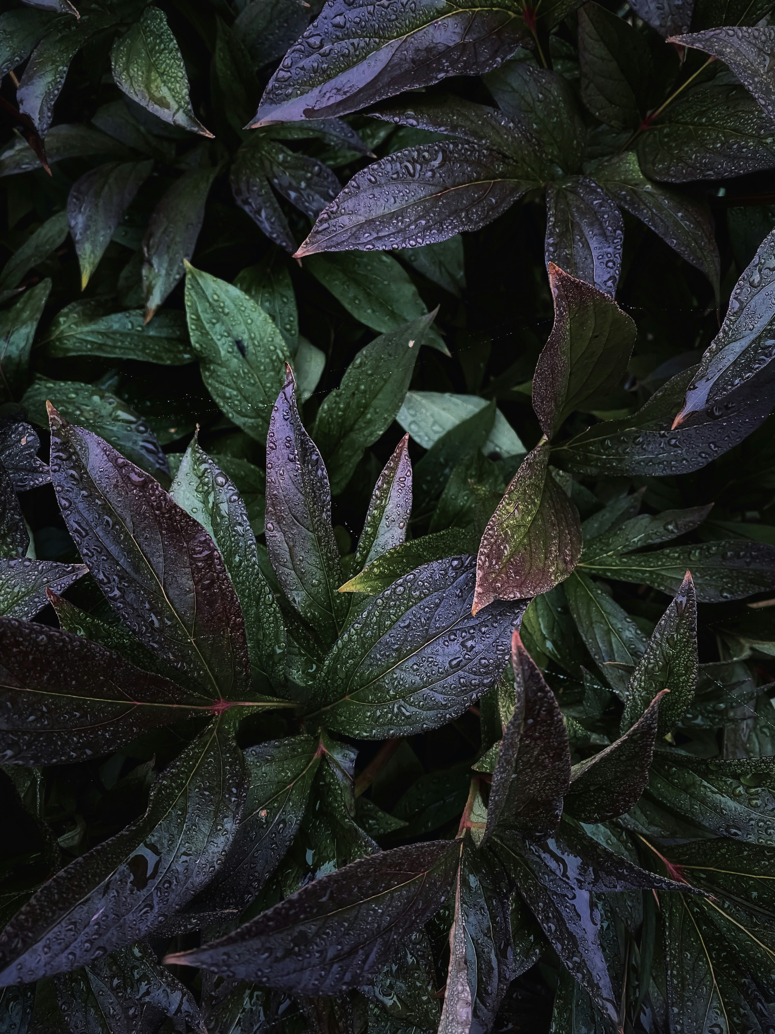 Photo by eugene_golovesov