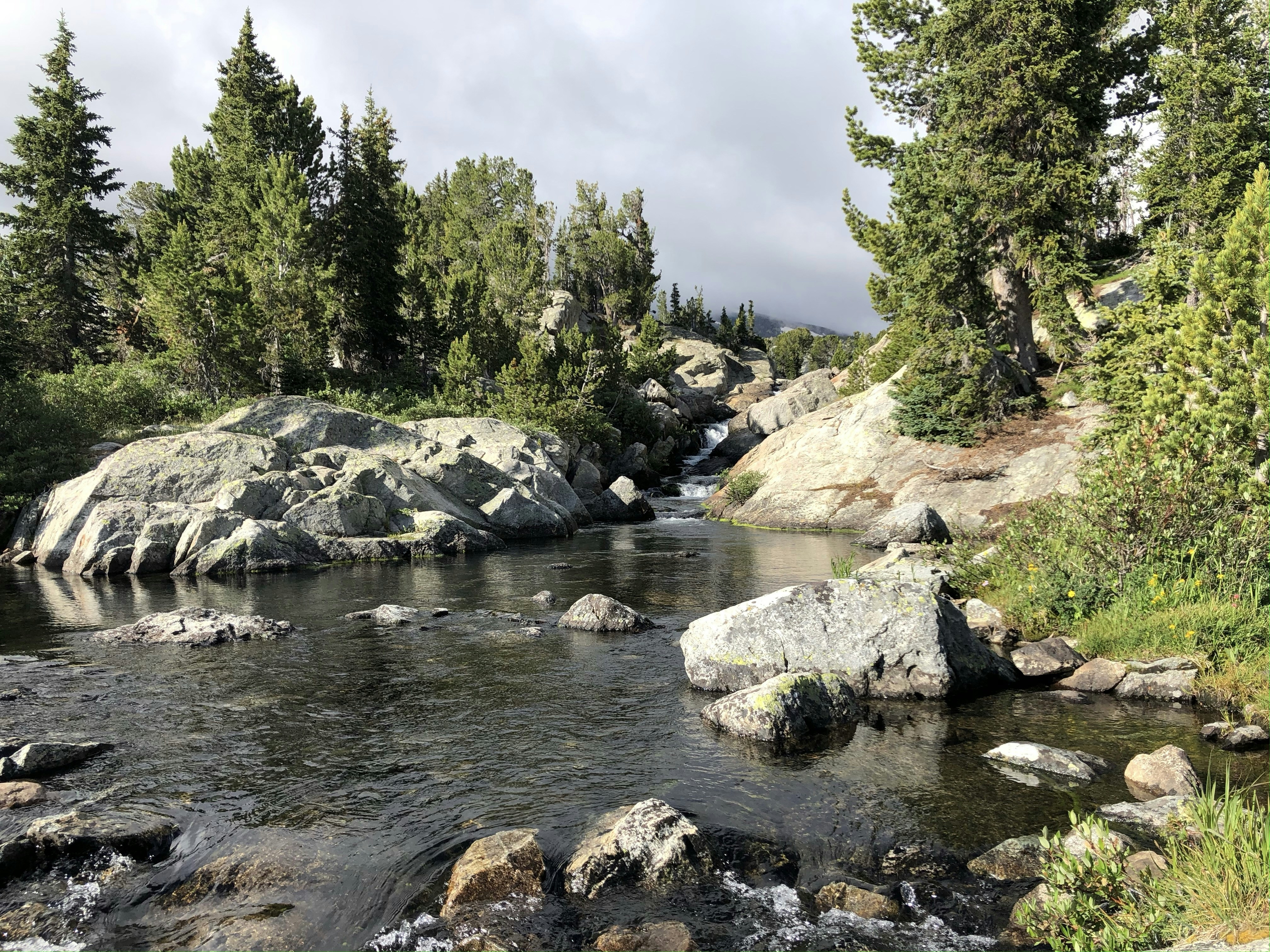 Photo by judd_nichols