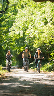 a group of people riding bikes on a dirt path in the woods