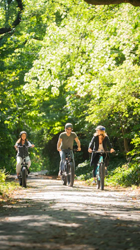 a group of people riding bikes on a dirt path in the woods