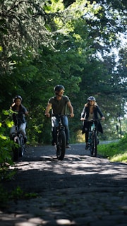 a group of people riding bikes on a path in the woods