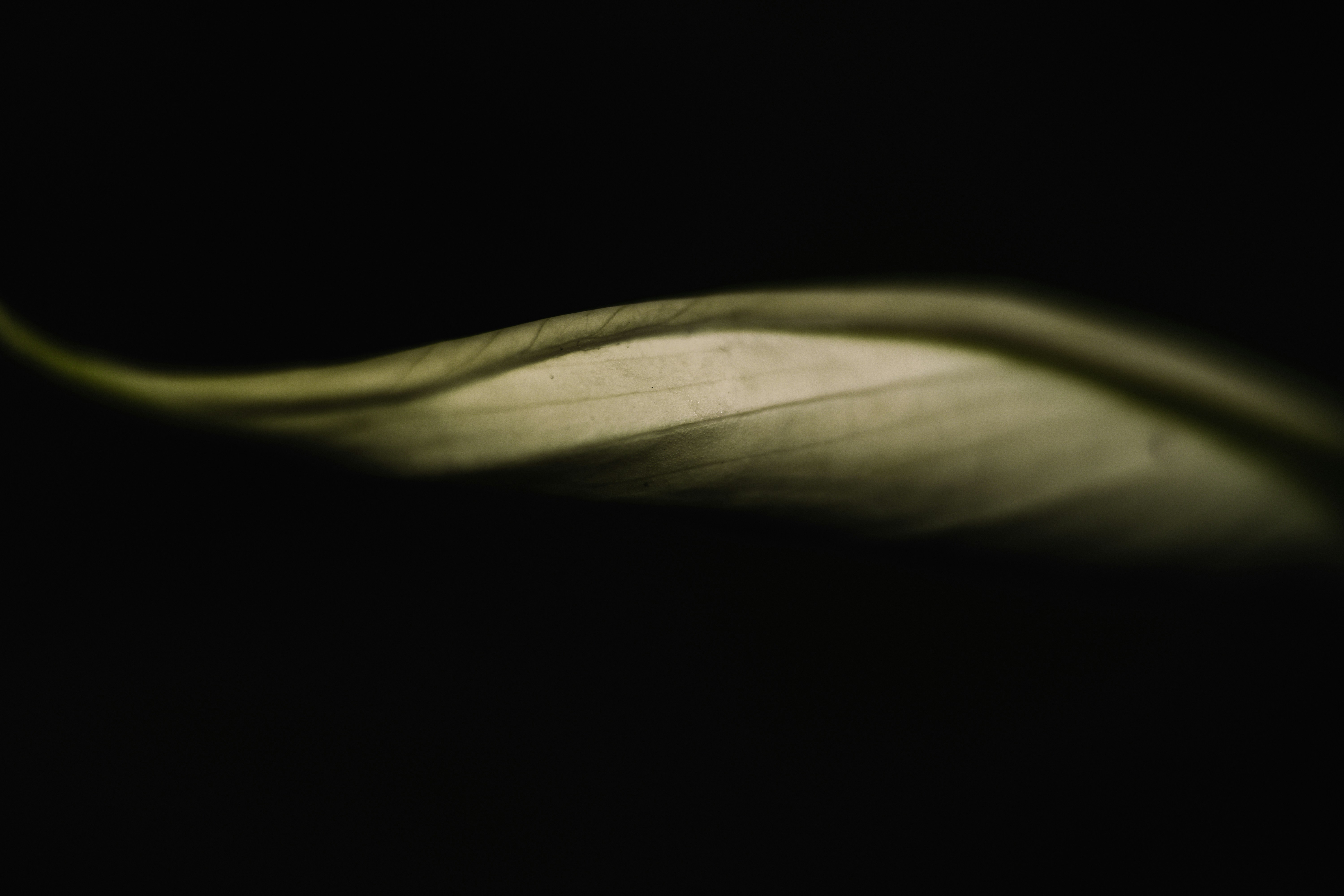 Photo by anamnesis33