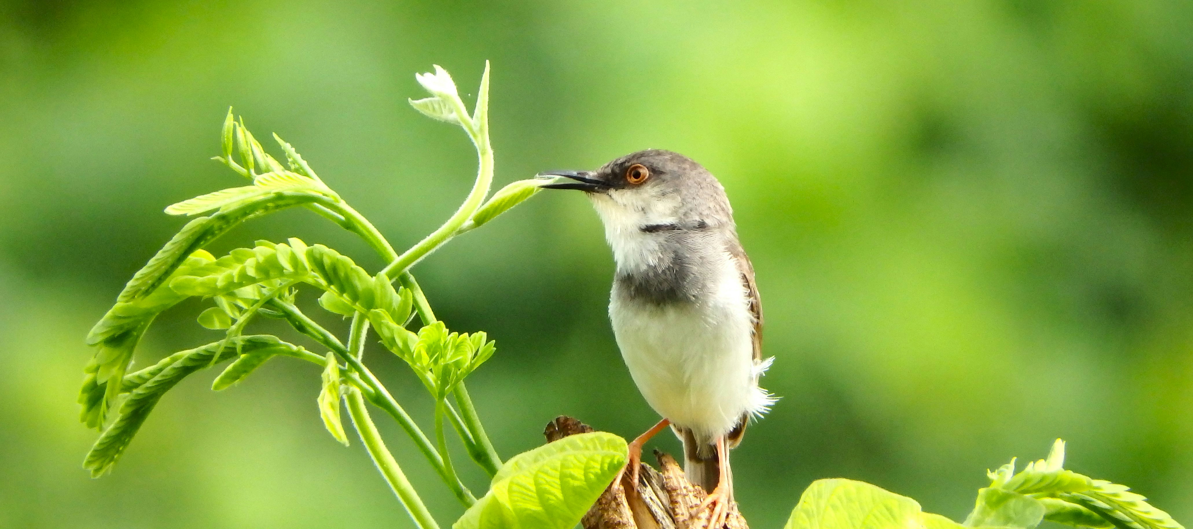 Photo by gypsysoul_dr