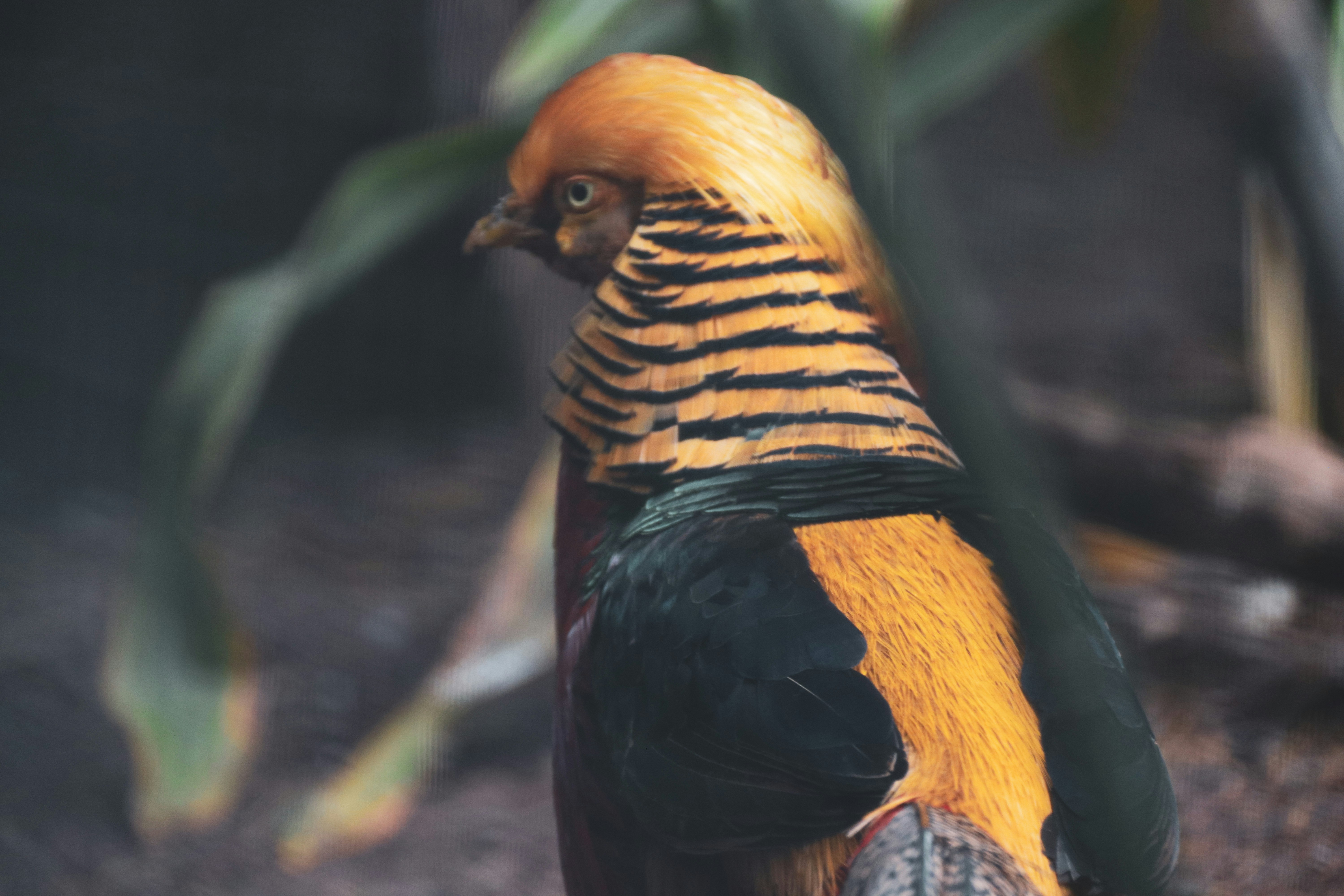 Photo by alwanibrahim