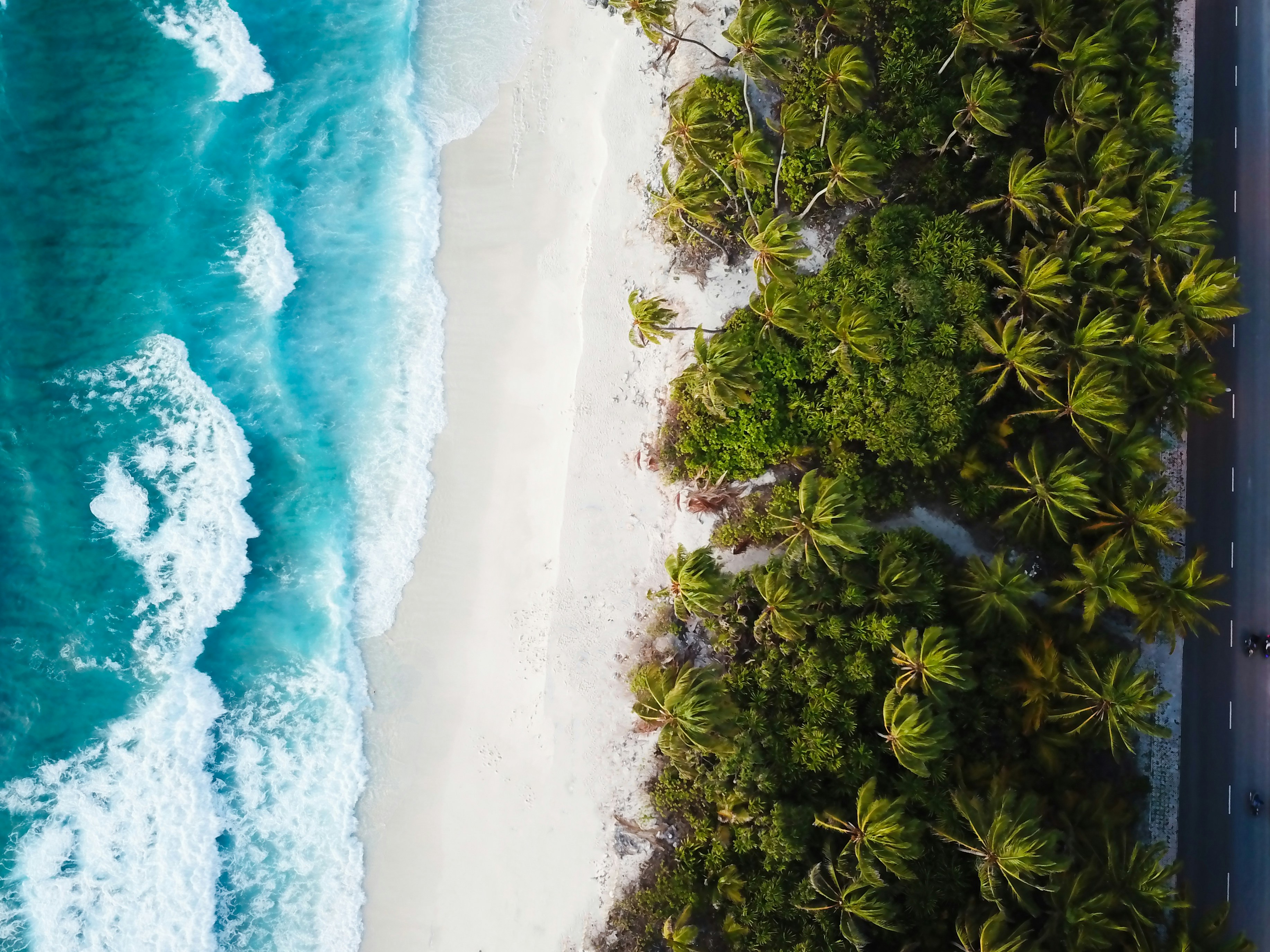 Photo by georgeandsav