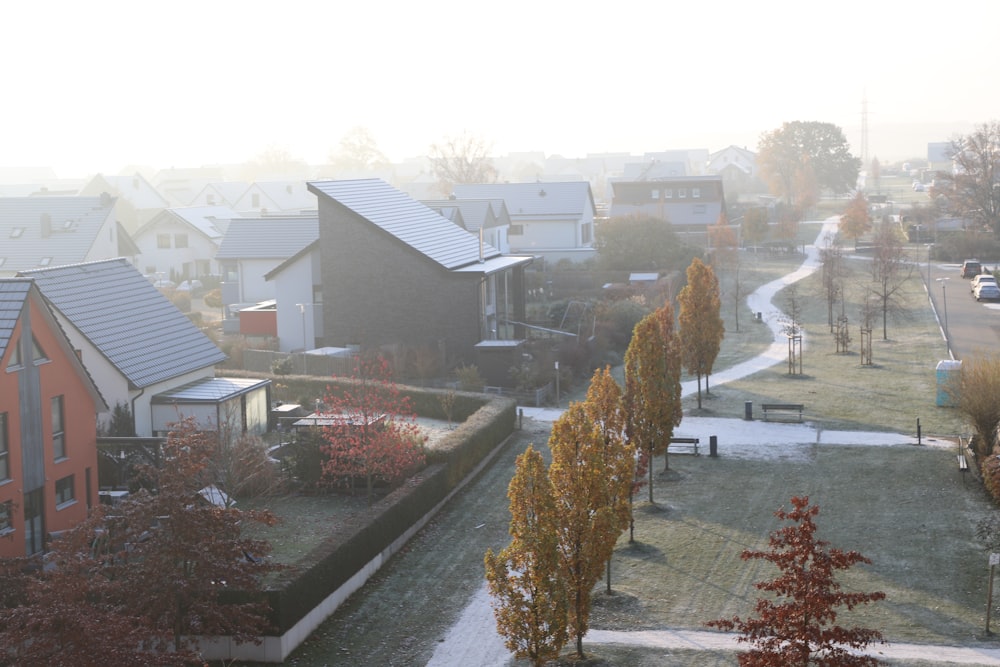 a group of houses with trees and a road in the front