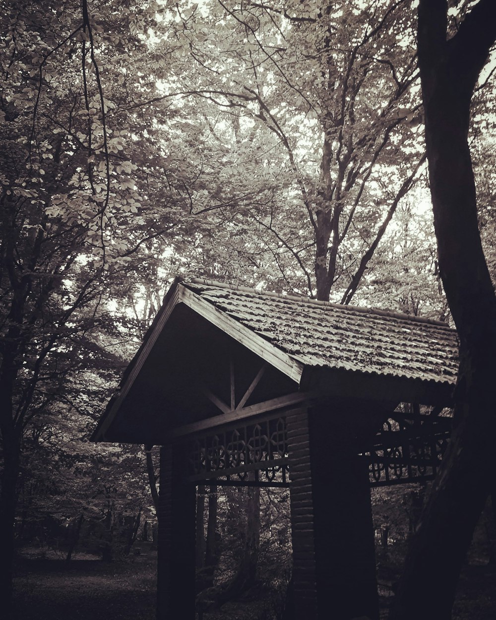 a small wooden building in the woods