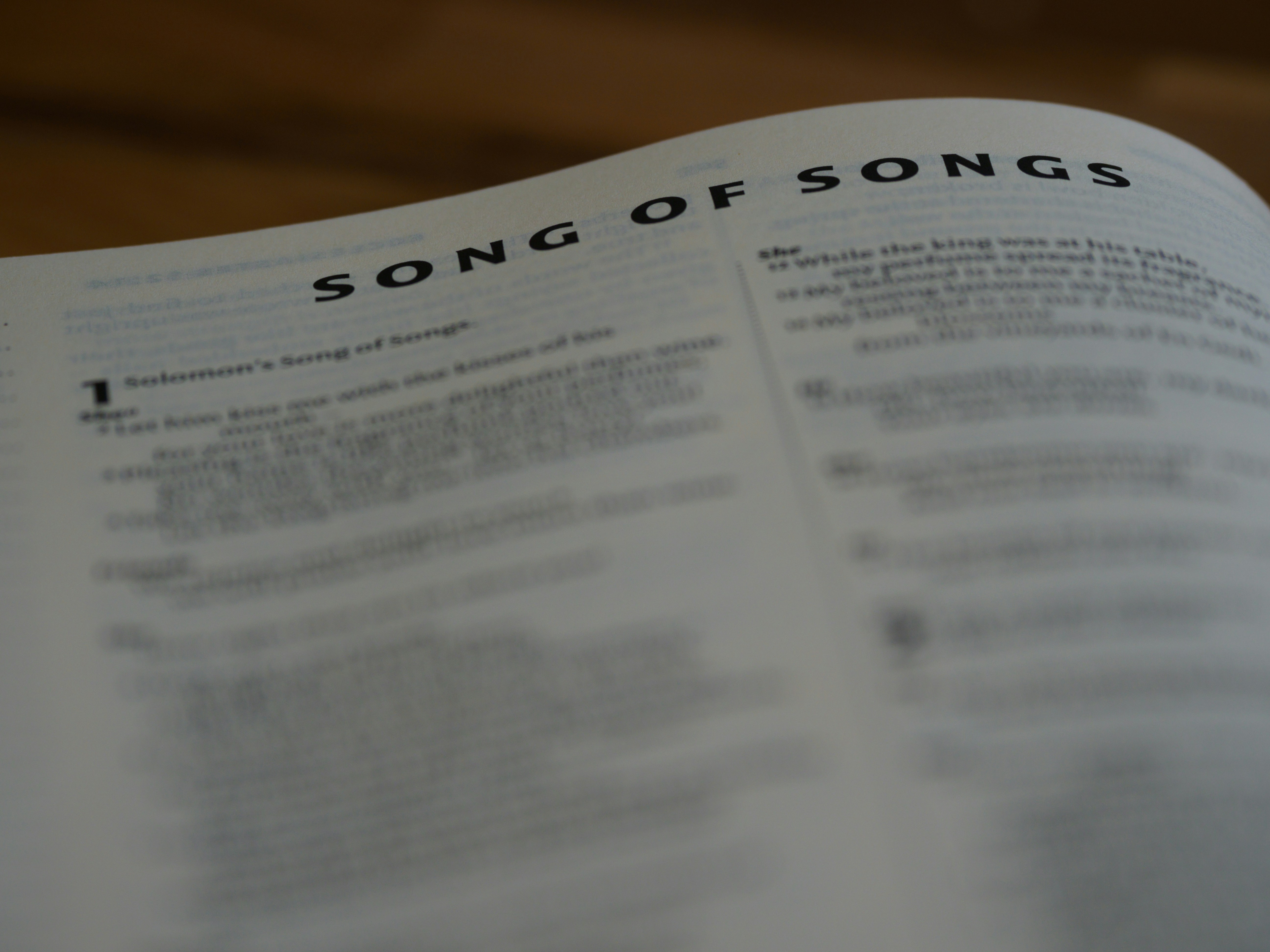 close up, bokeh, macro, blur, blurred background, close focus, bible, old testament, hebrew bible, christian, judaism, history, text, reading, bible study, devotions, text, NIV, New International Version, type, typography, canon, christianity, holy scripture, holy bible, scripture, old testament, hebrew bible, song of songs, שִׁיר הַשִּׁירִים, Šīr hašŠīrīm, ᾎσμα ᾀσμάτων, Âisma āismátōn, canticle of canticles, megillot, tanakh, ketuvim, poem, love poem, love poetry, passover, christ, bride, church, marriage, lovers,