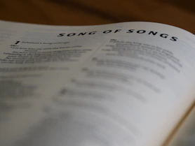 a page of a book