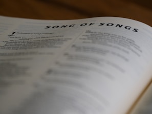 a page of a book