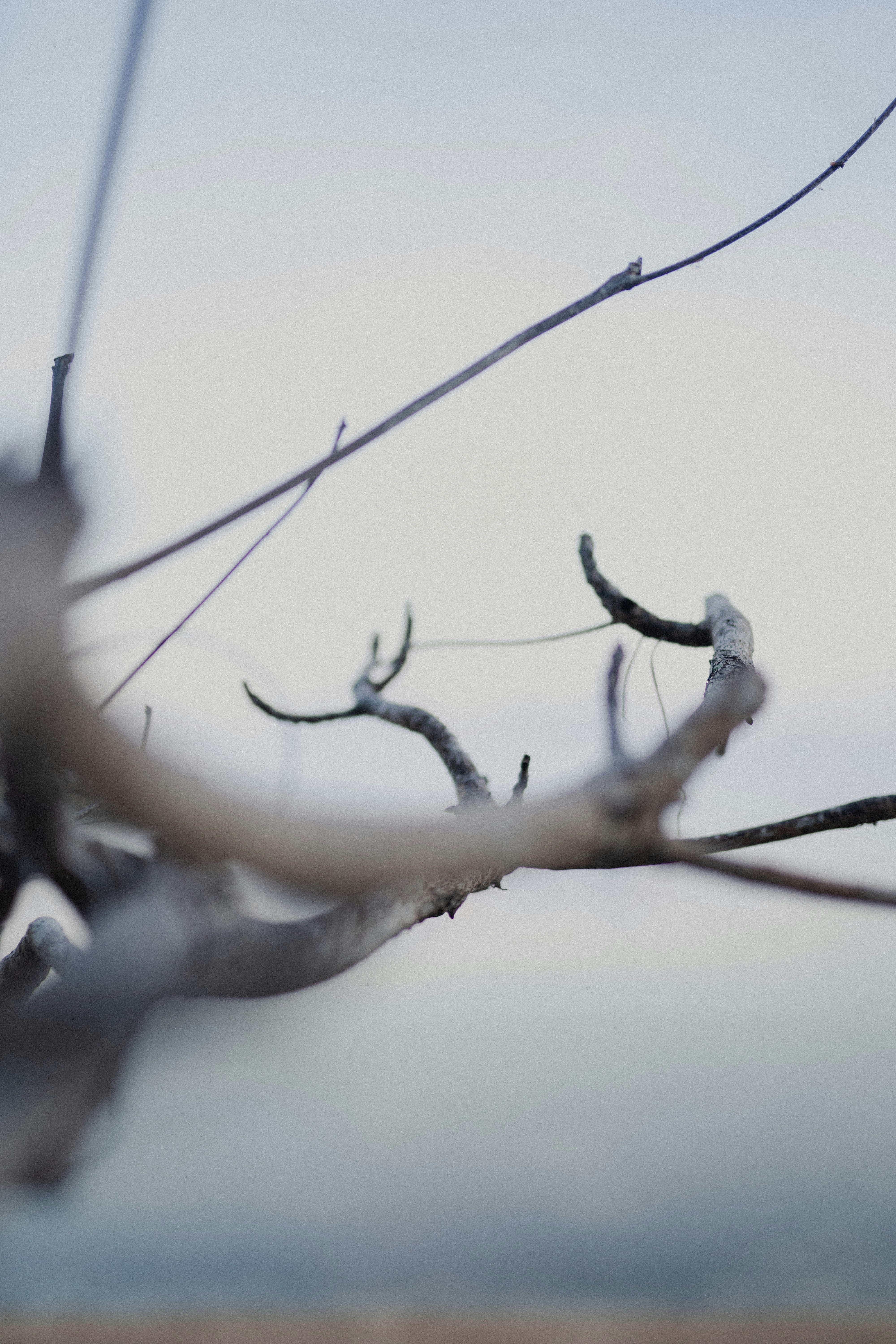 Photo by dzikrisukma