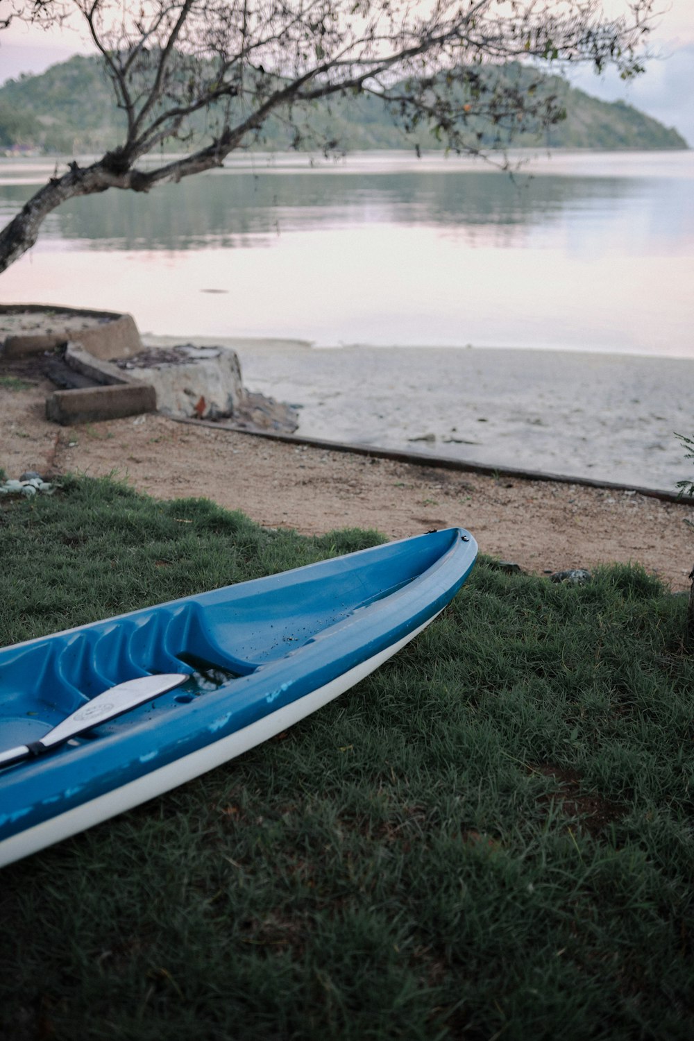 Une planche de surf sur l’herbe