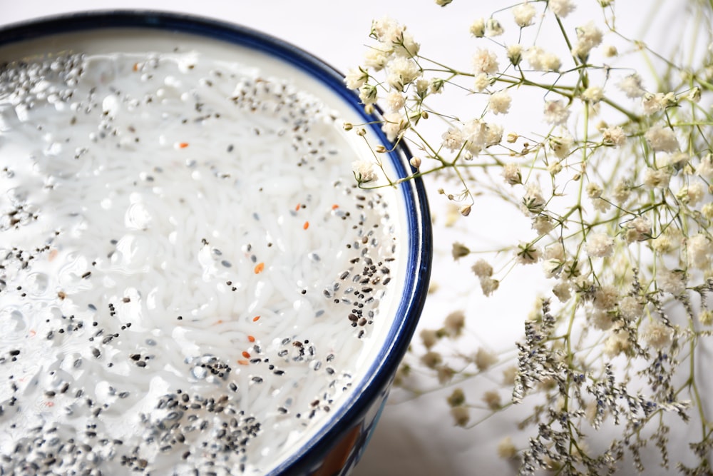 a white flower in a vase