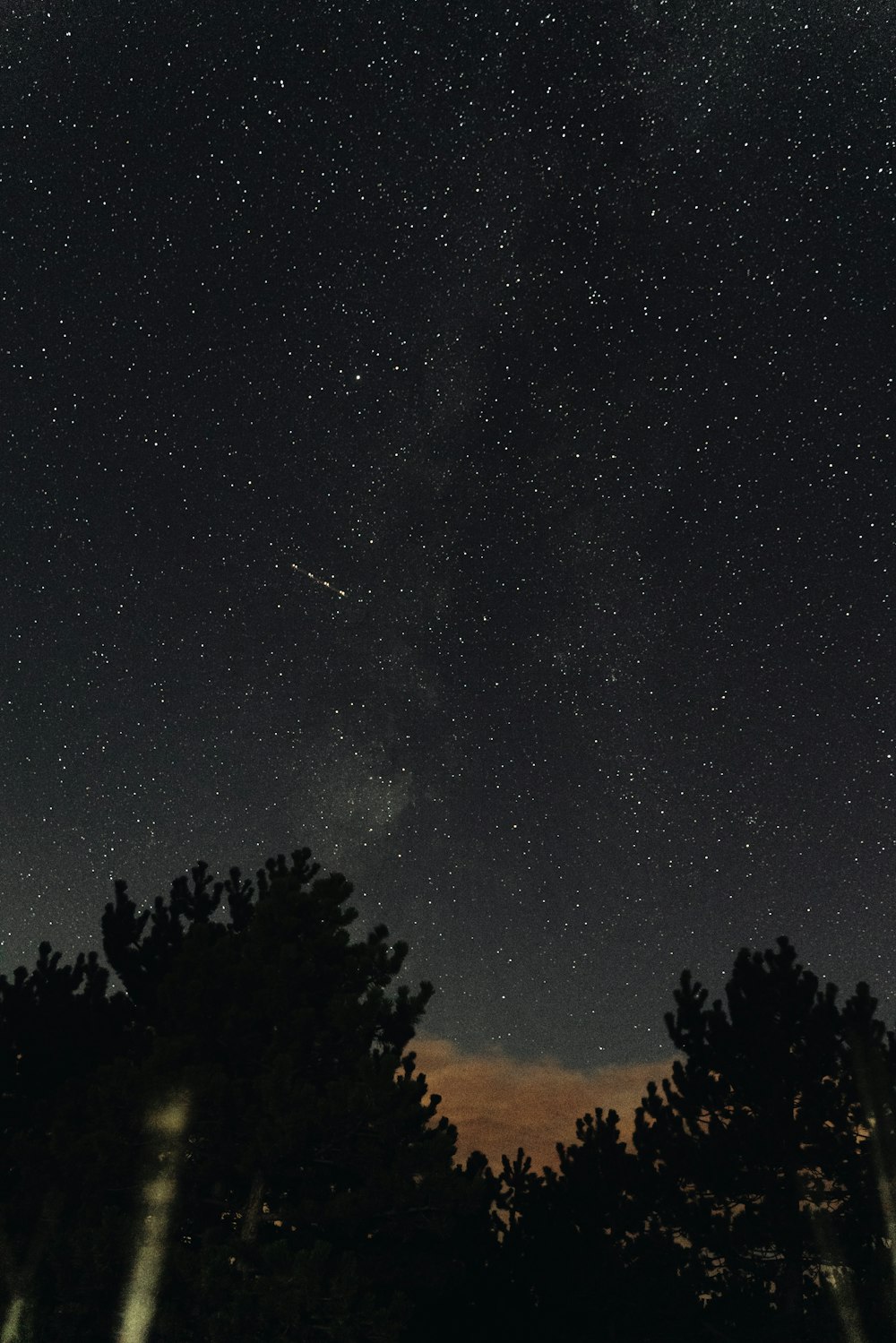 a starry night sky with trees