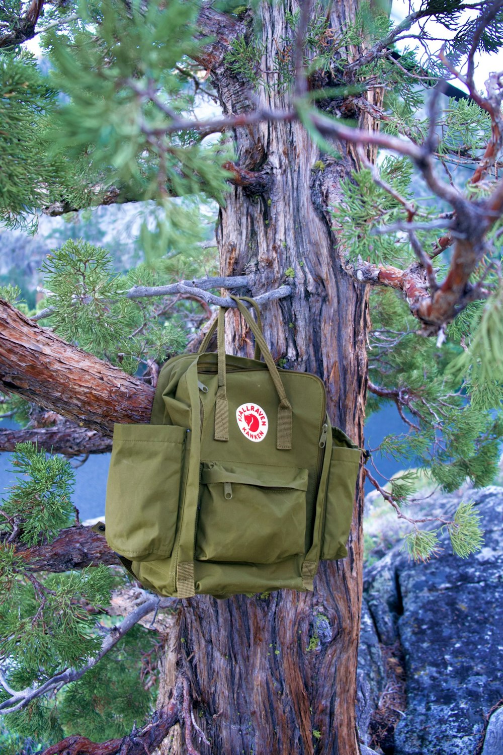 a green bag on a tree