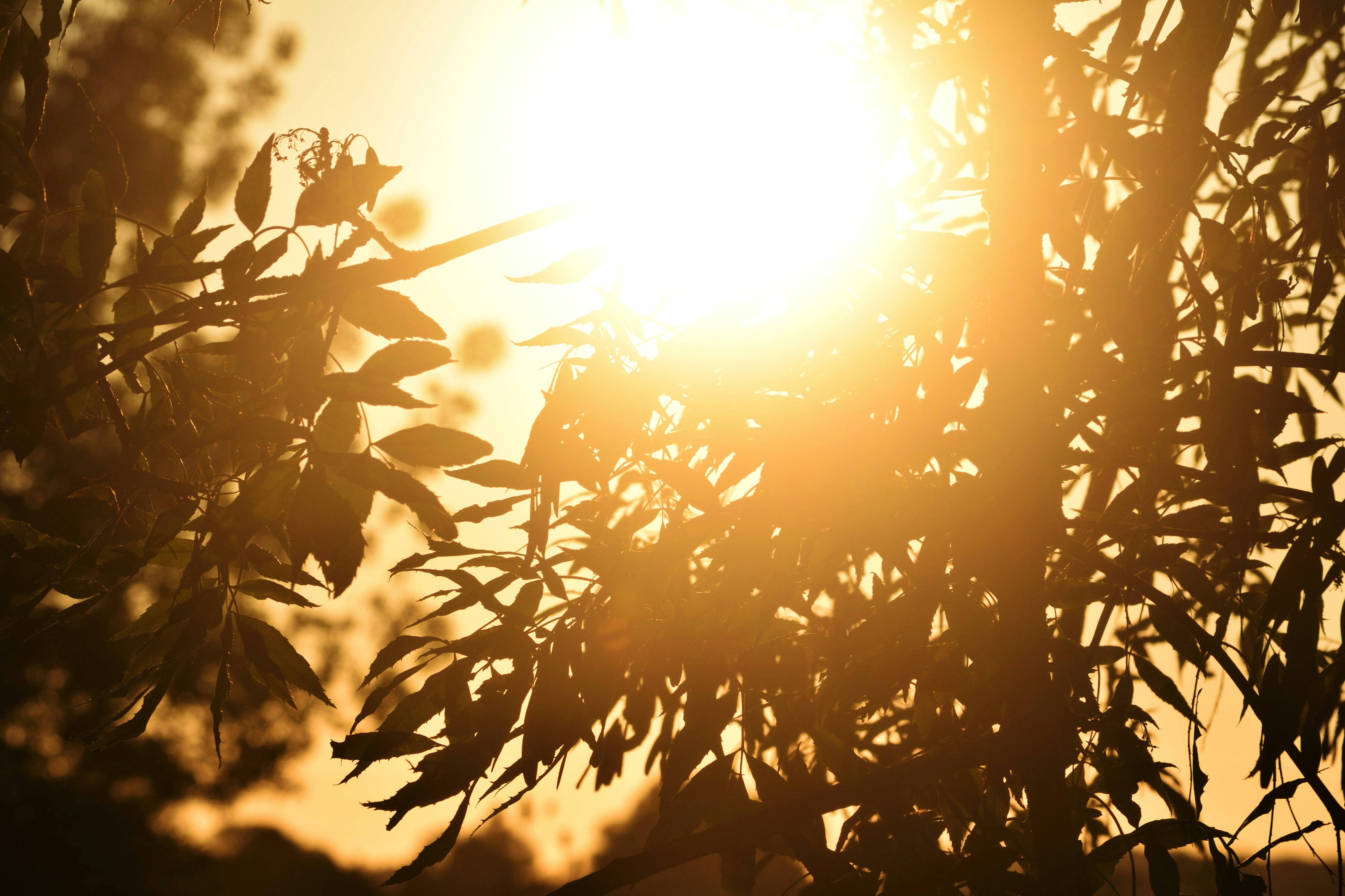 Photo by tobyjay2010