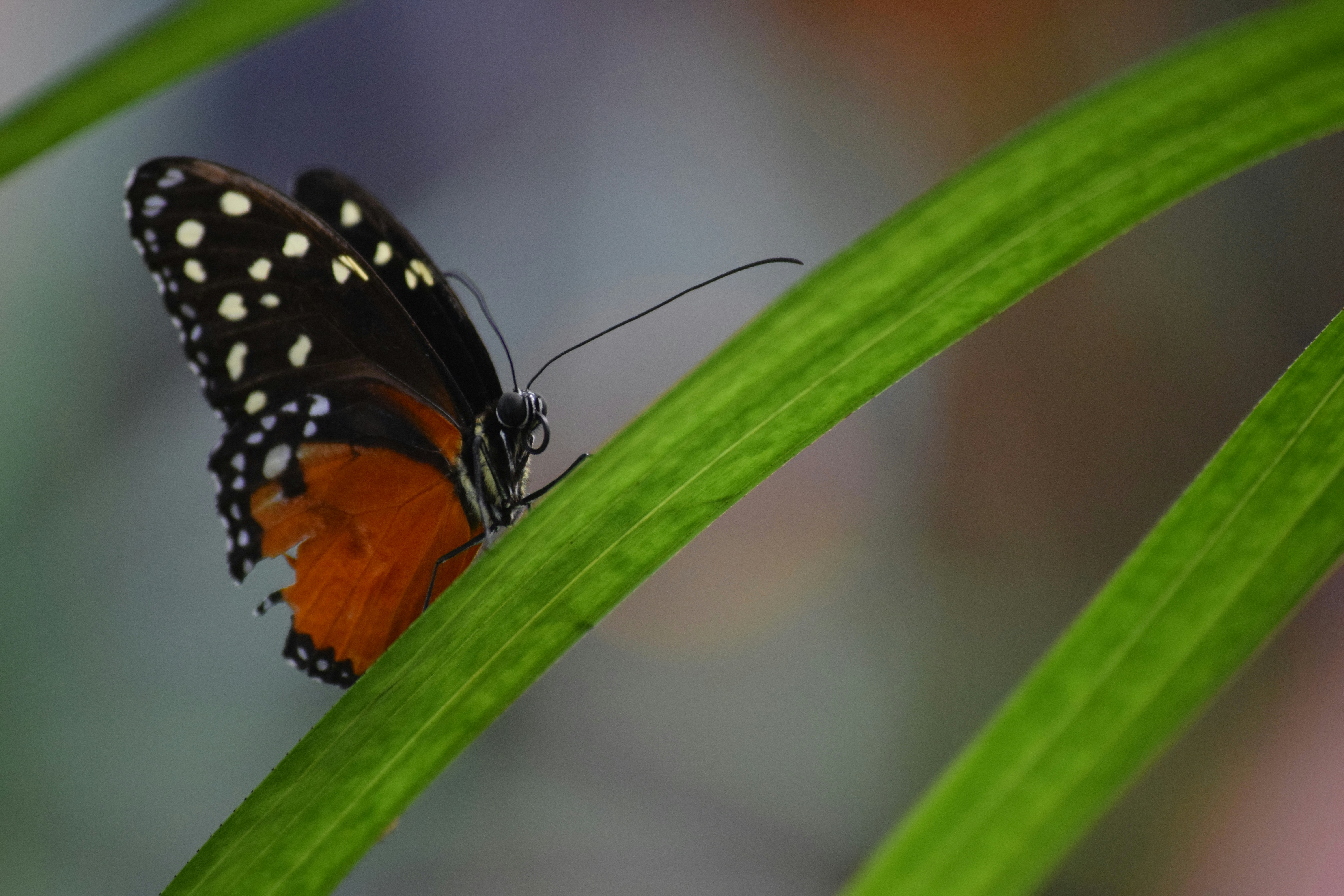 Photo by tobyjay2010