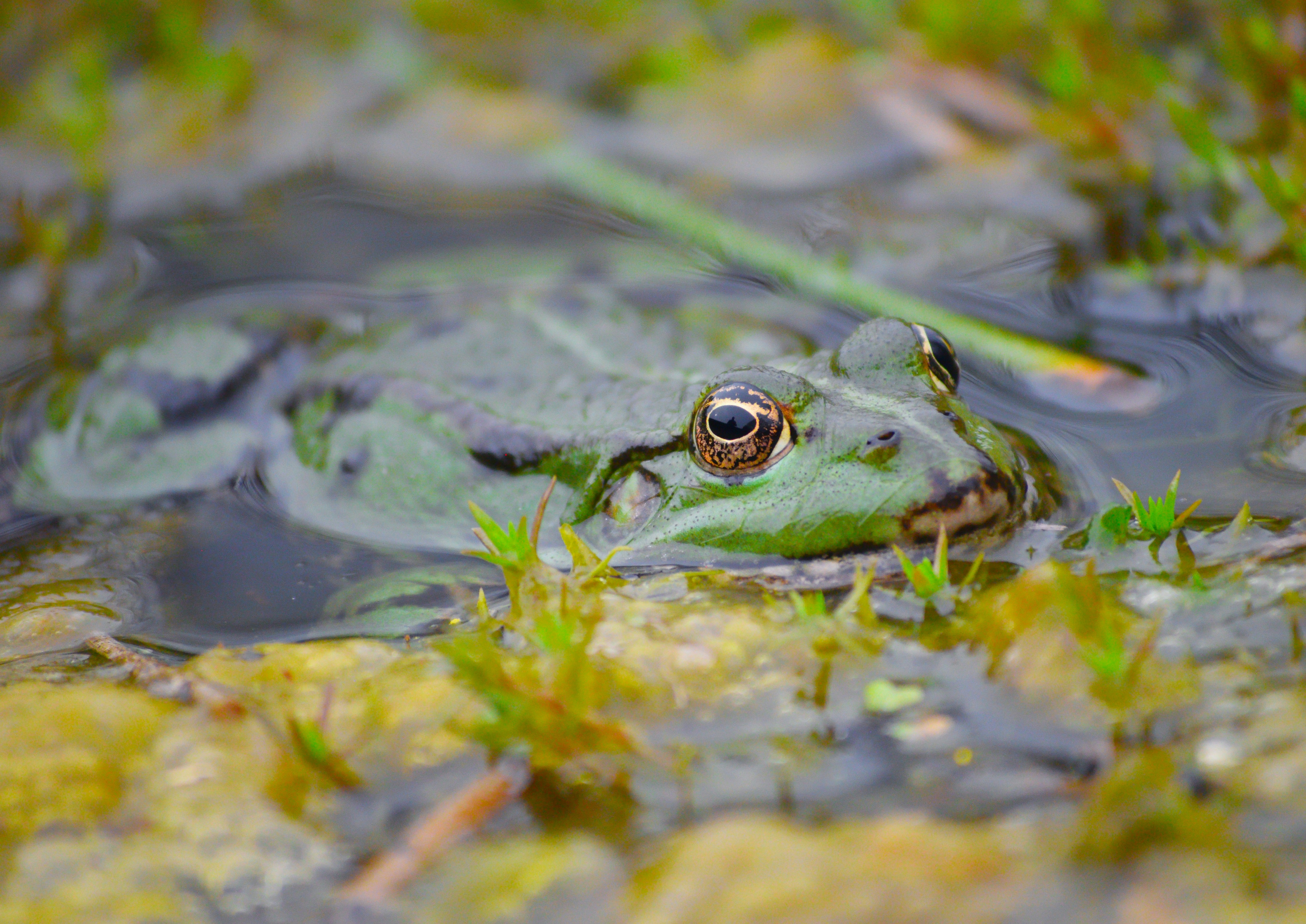 Photo by tobyjay2010