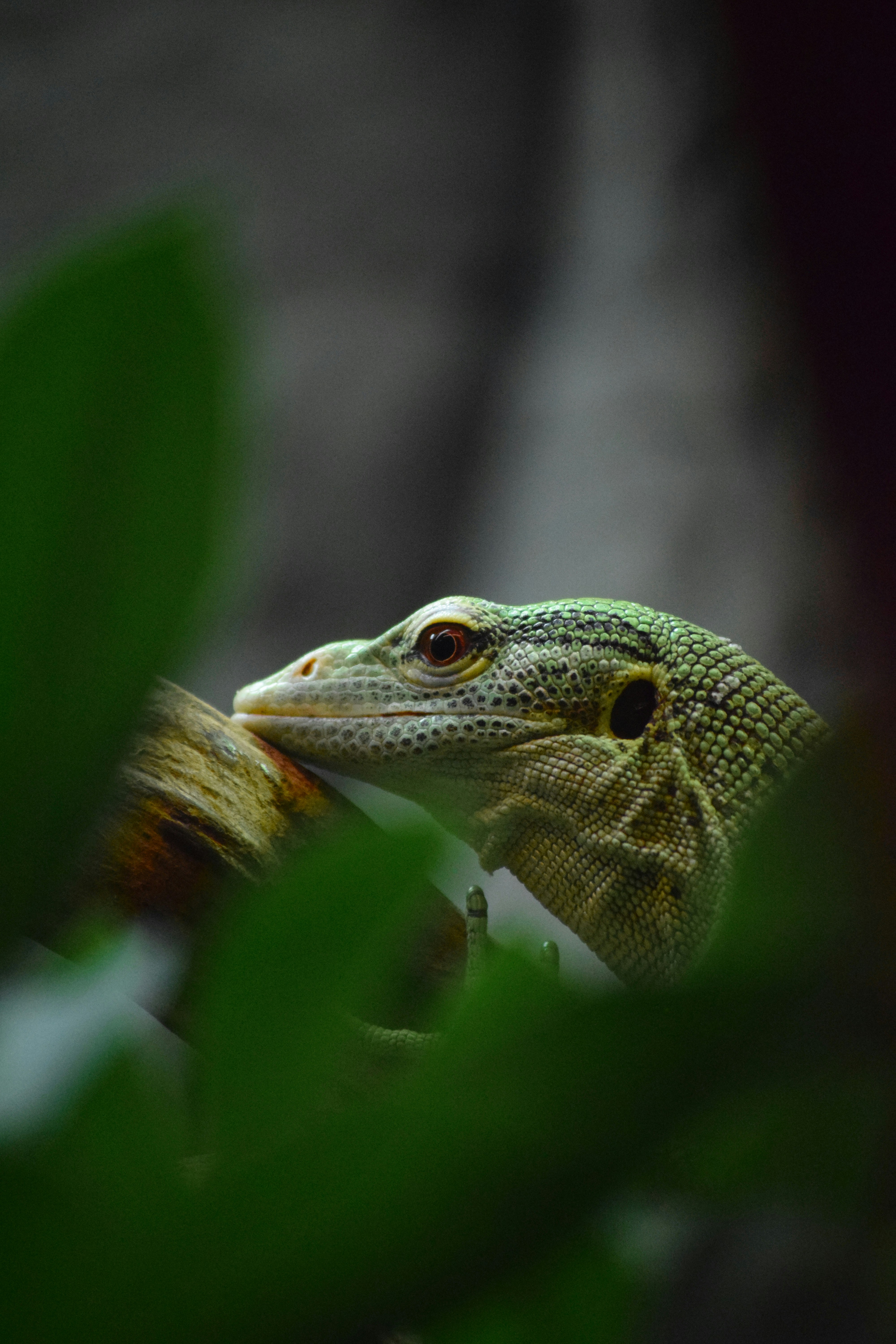 Photo by tobyjay2010