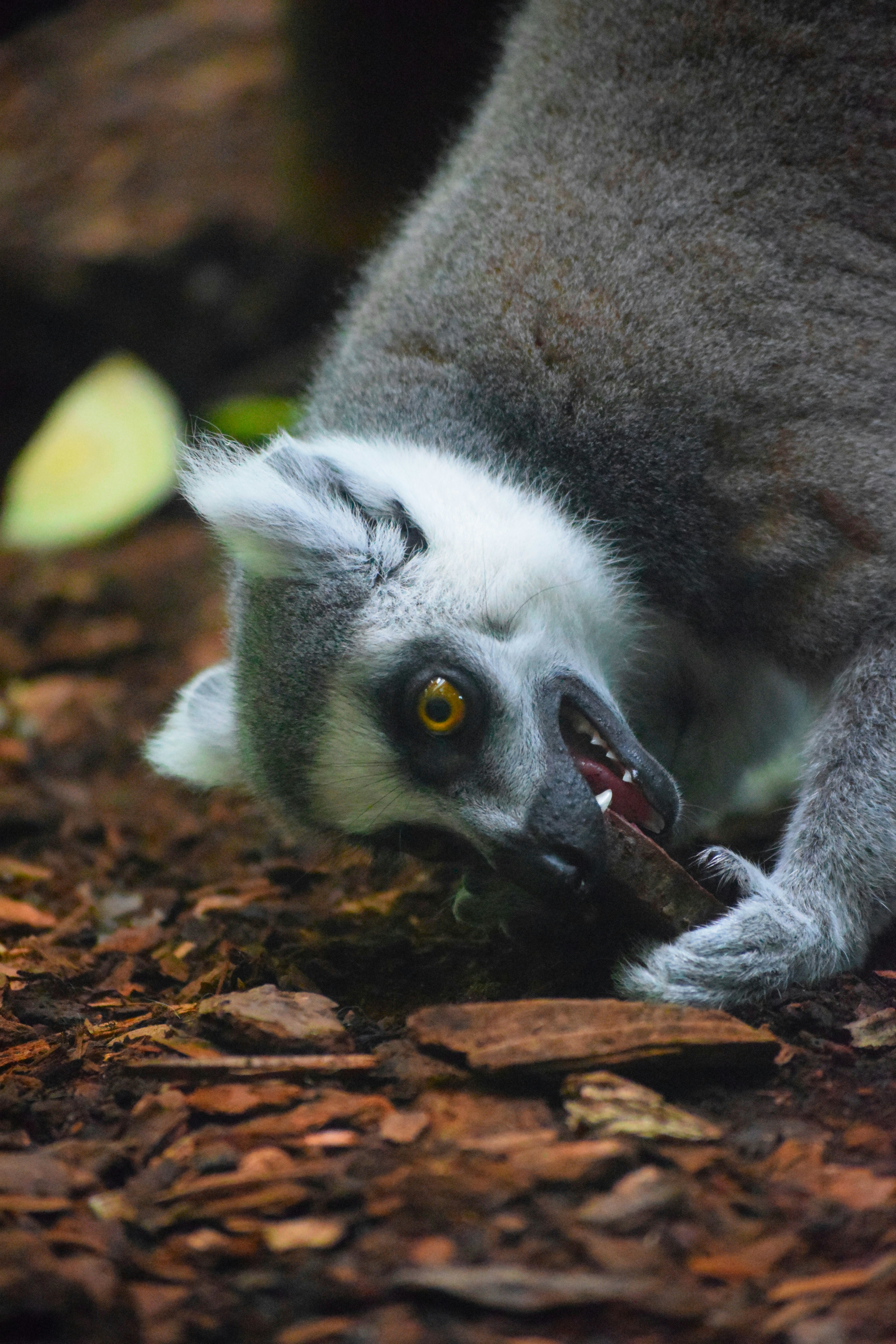 Photo by tobyjay2010