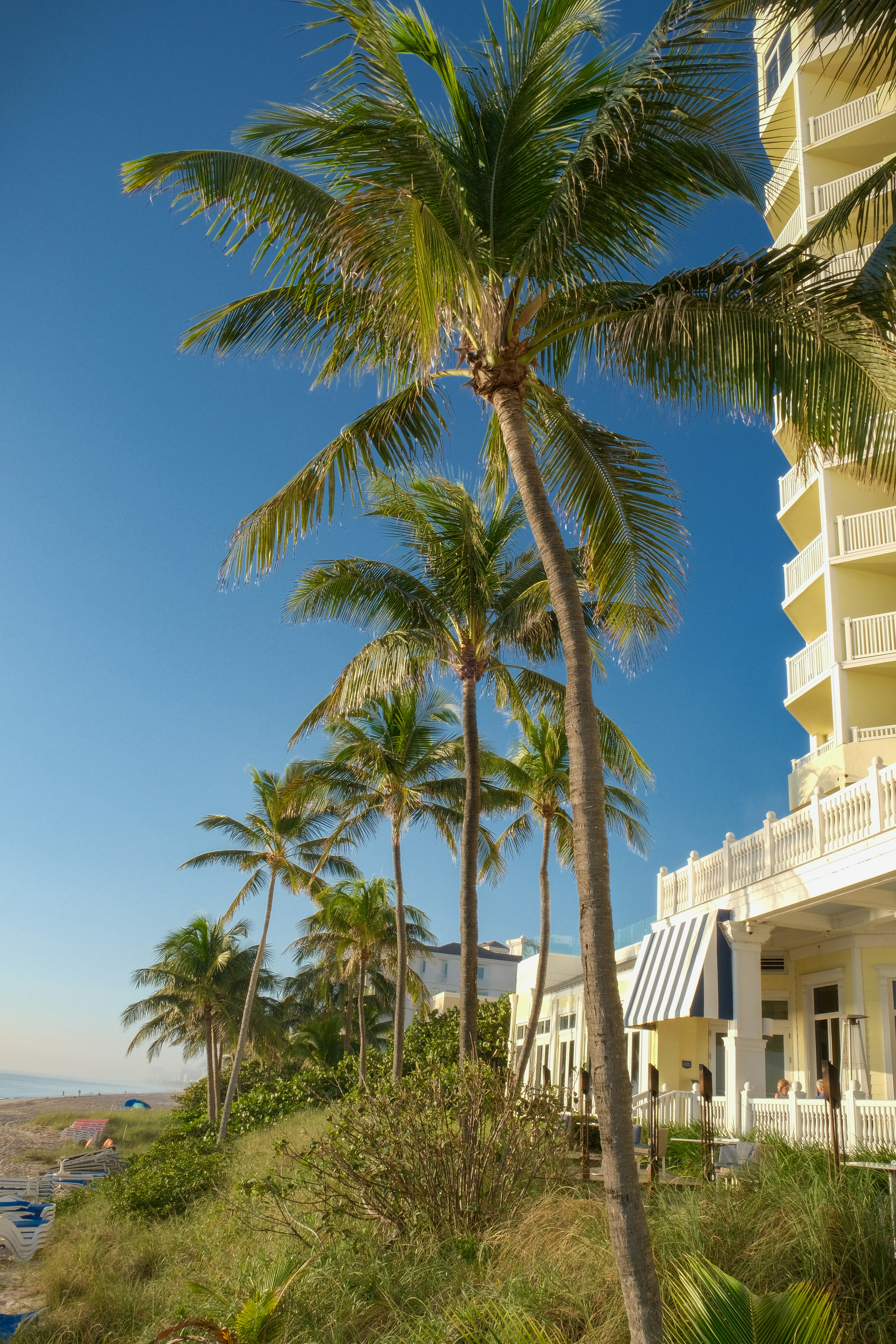 Hotels in Fort Lauderdale