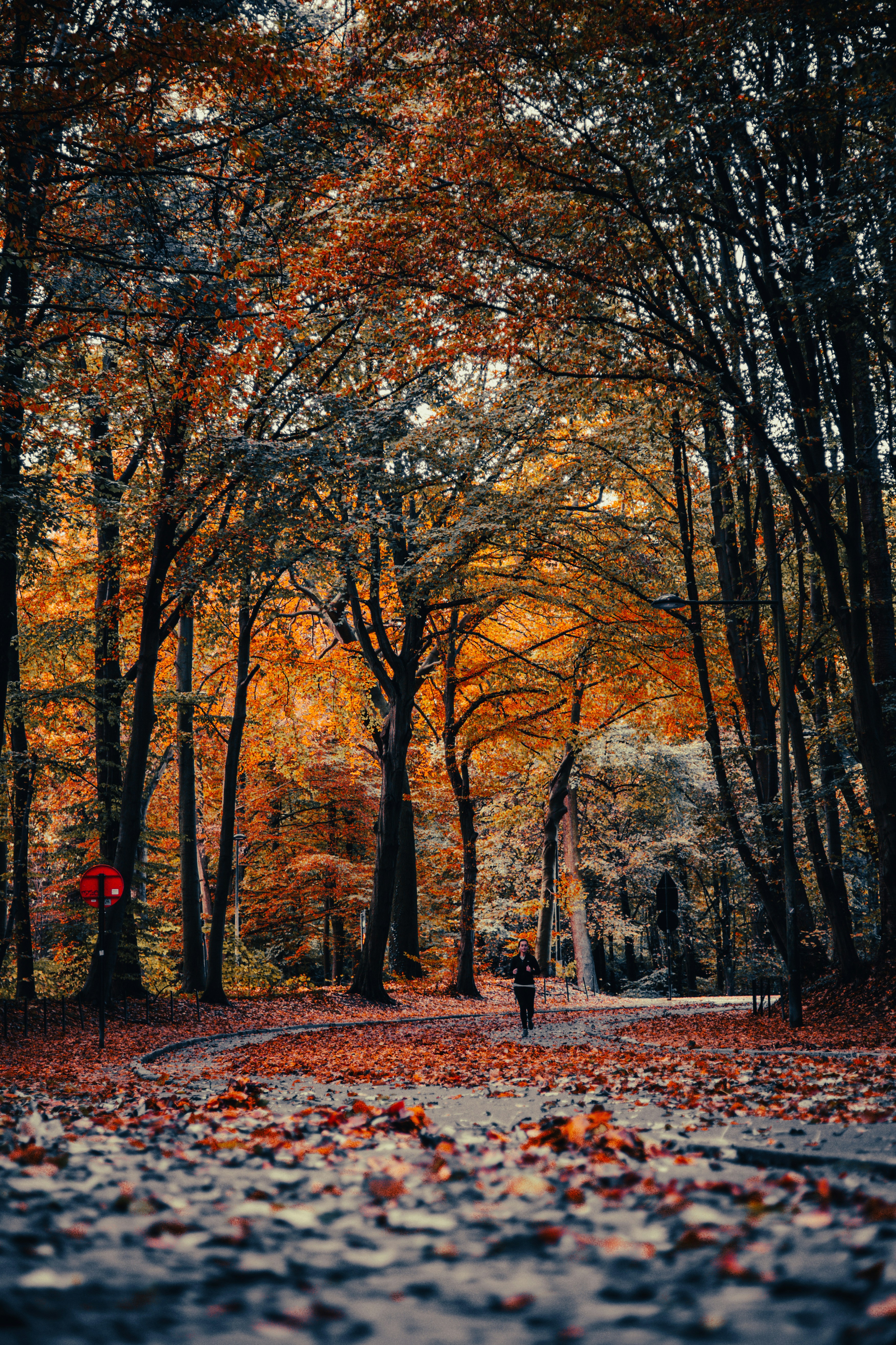 Photo by damien_schneider