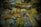 The image displays an assortment of packaged snacks and sweets, including various types of chips, cookies, and other savory and sweet items, neatly stacked and organized in plastic bags. They are placed on a table likely in a market or store setting.