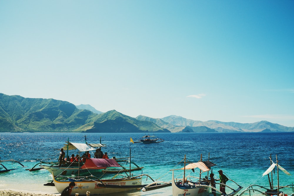 boats on the water