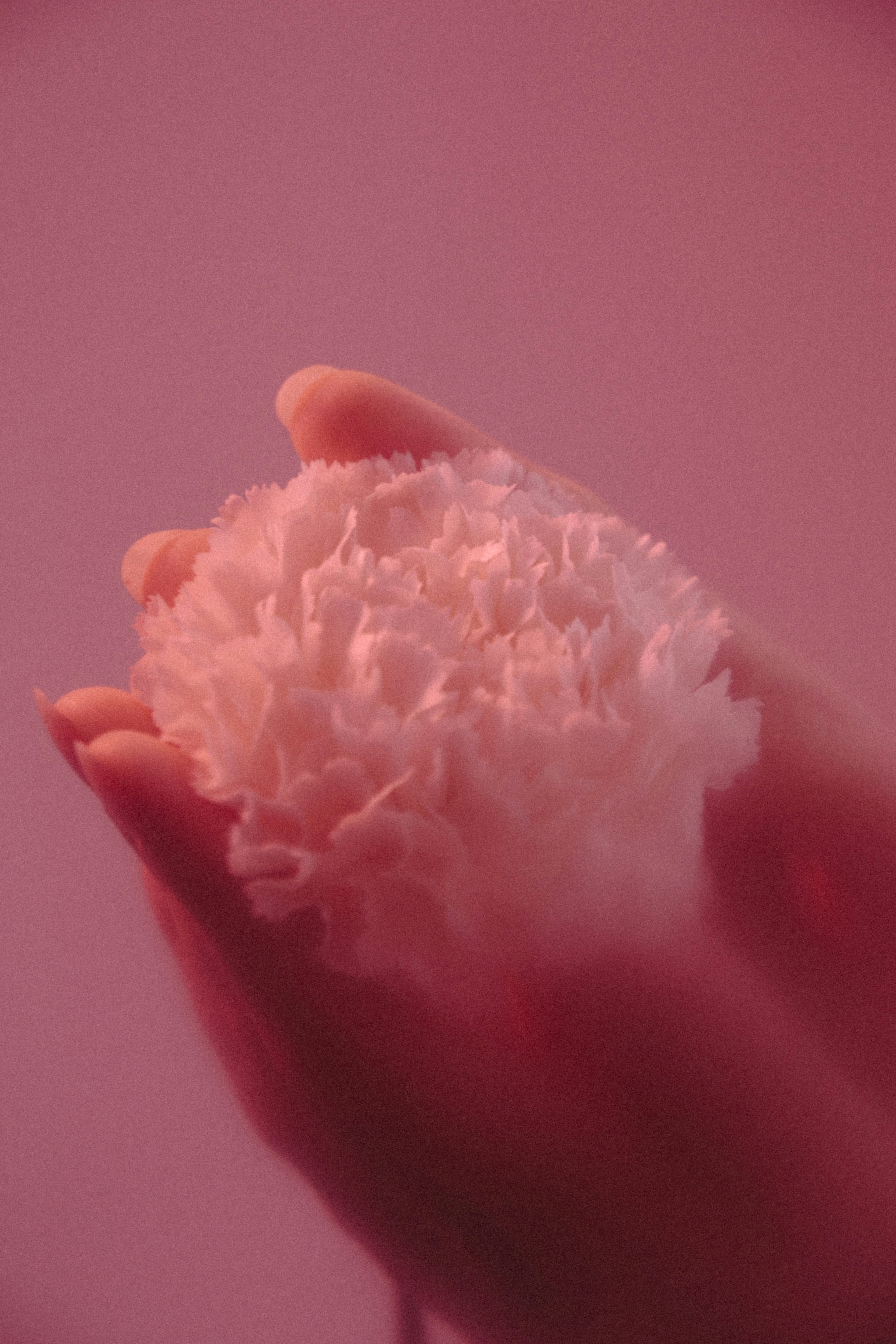 hand wallpaper, wallpaper, Bangun Tidur Tangan Kesemutan? Cari Tahu Penyebabnya 6