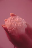 Hands holding a delicate flower over a smooth, radiant face in a bright, airy setting.