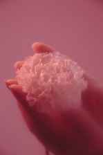 A softly lit photograph of a hand gently holding a delicate flower, symbolizing subtle beauty and presence.