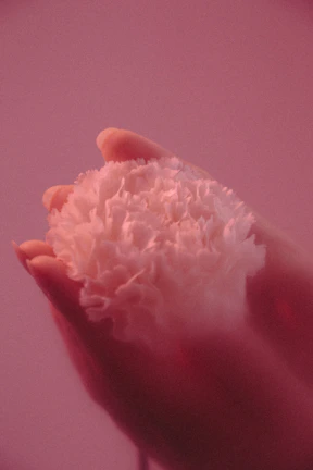 Hands holding a delicate flower over a smooth, radiant face in a bright, airy setting.