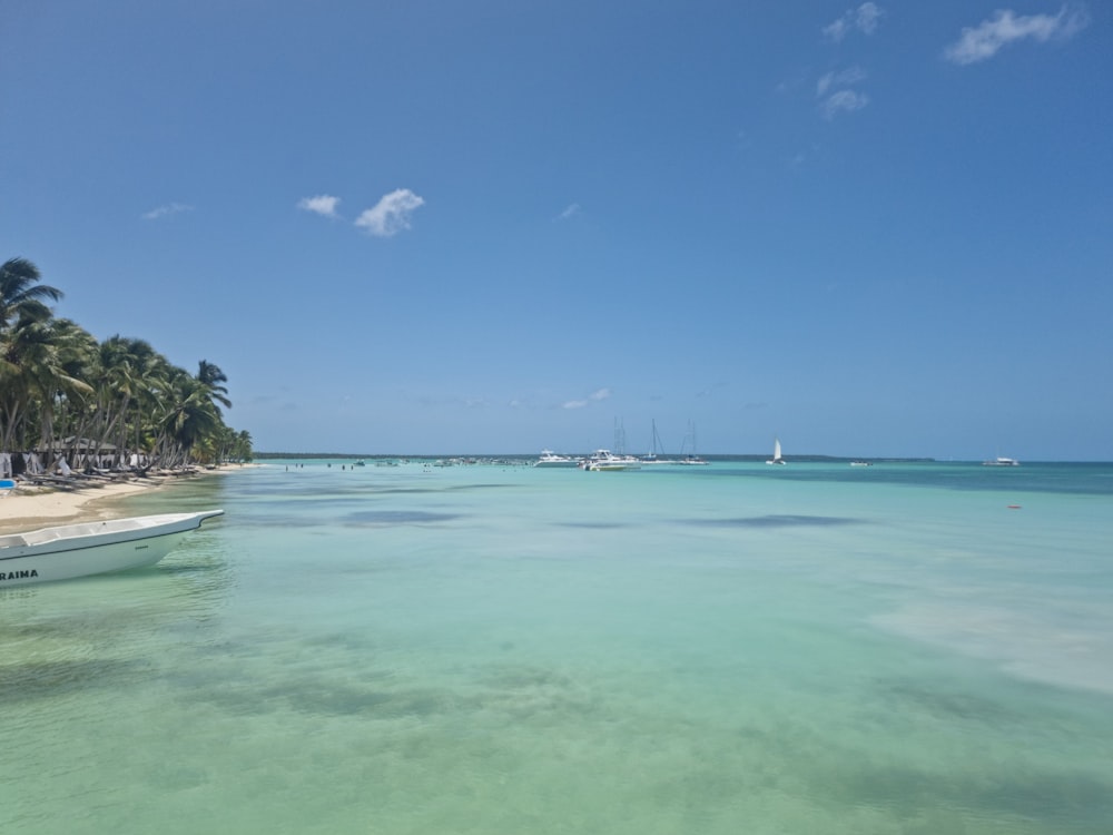 a body of water with boats in it and trees around it