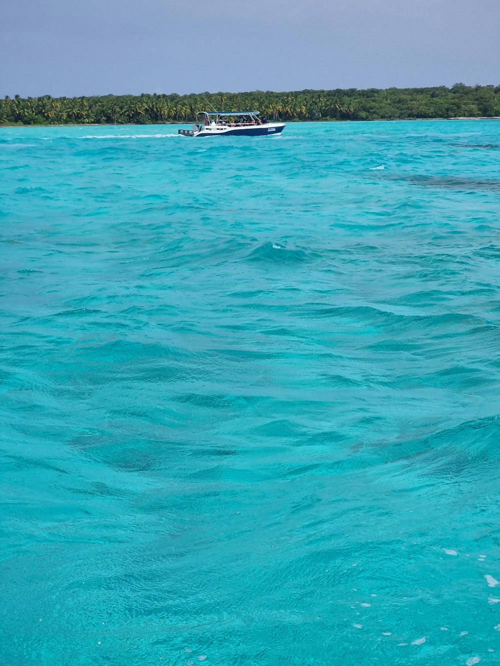 a couple of boats on the water