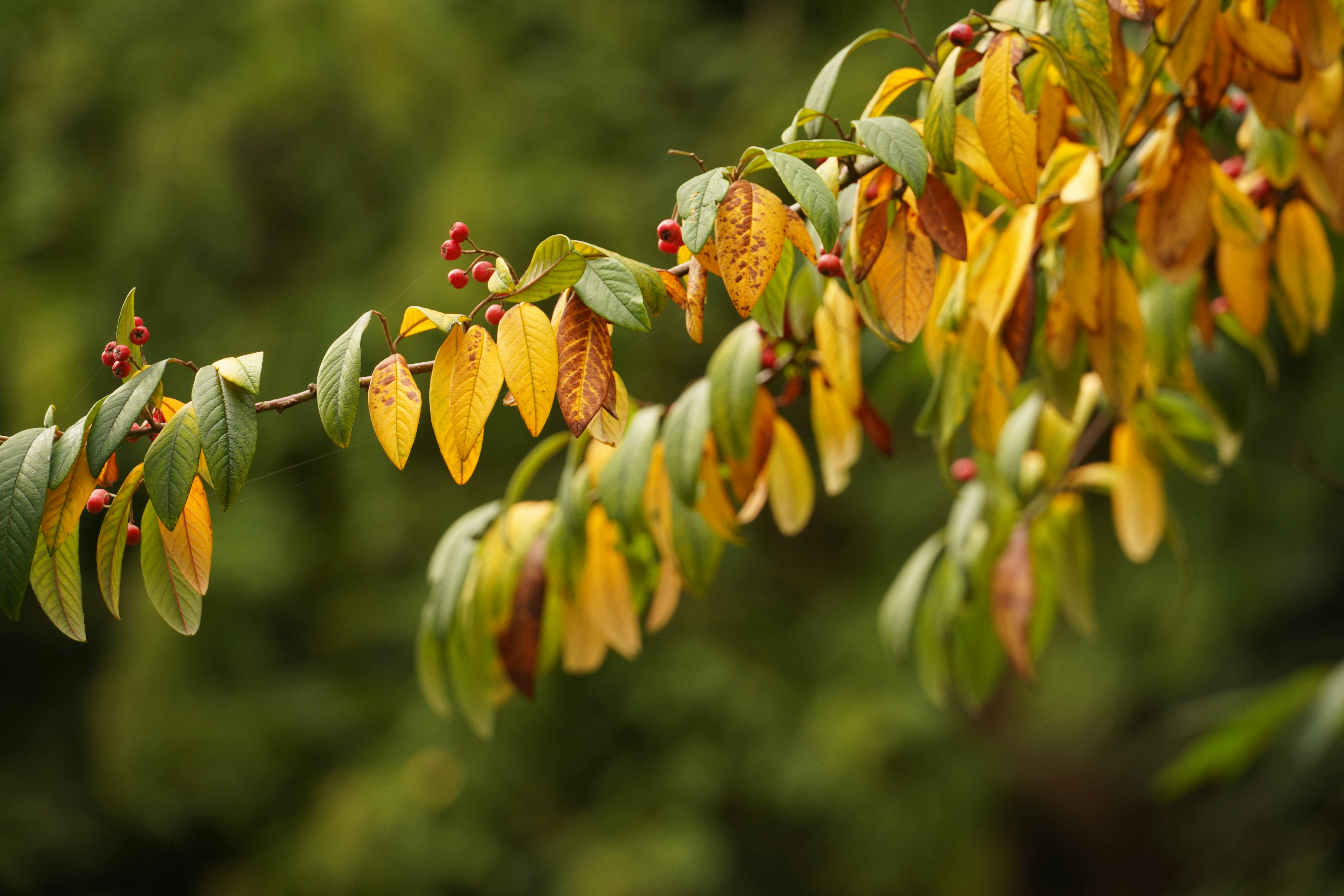 Photo by hooverpaul55