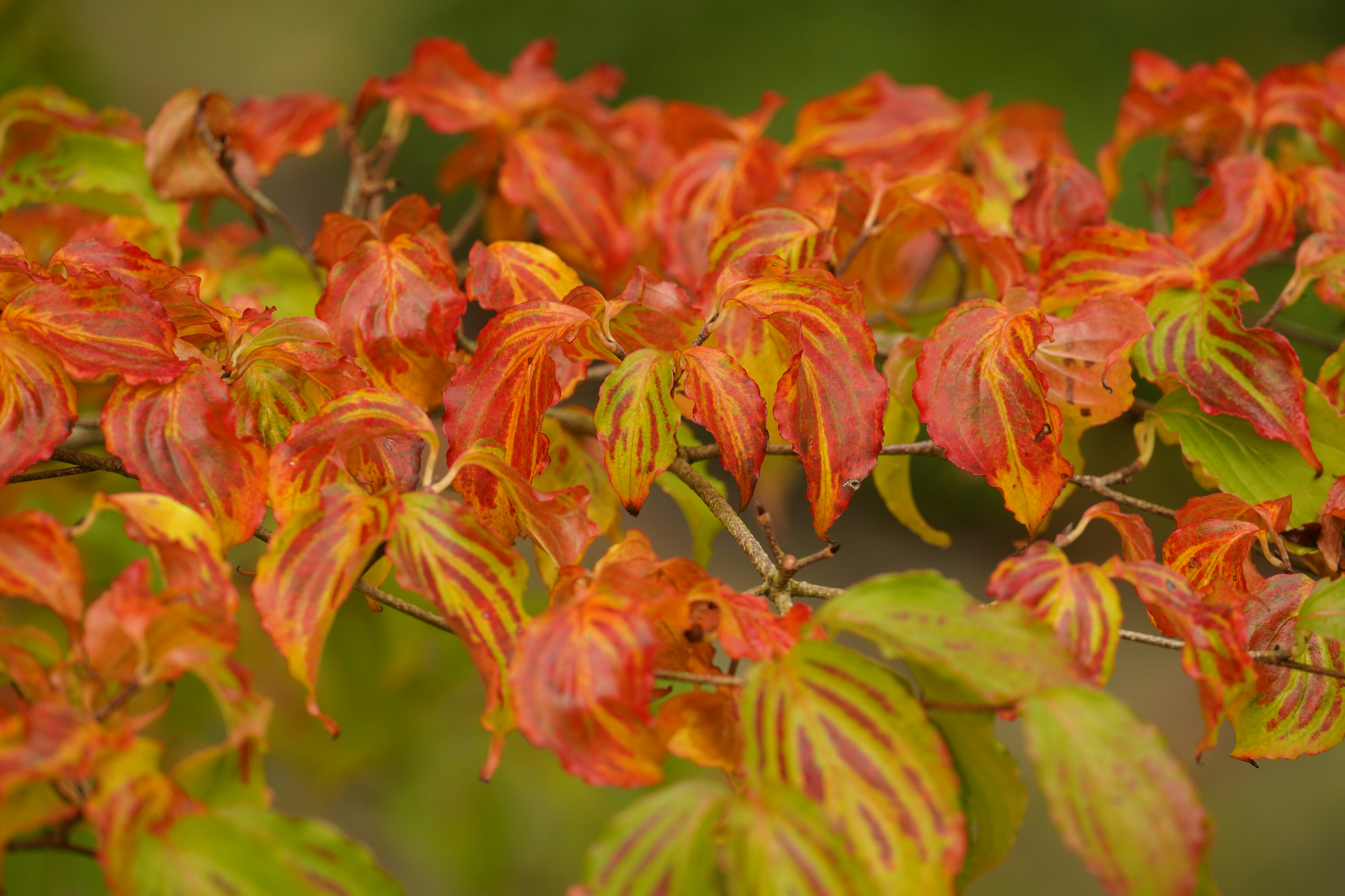 Photo by hooverpaul55