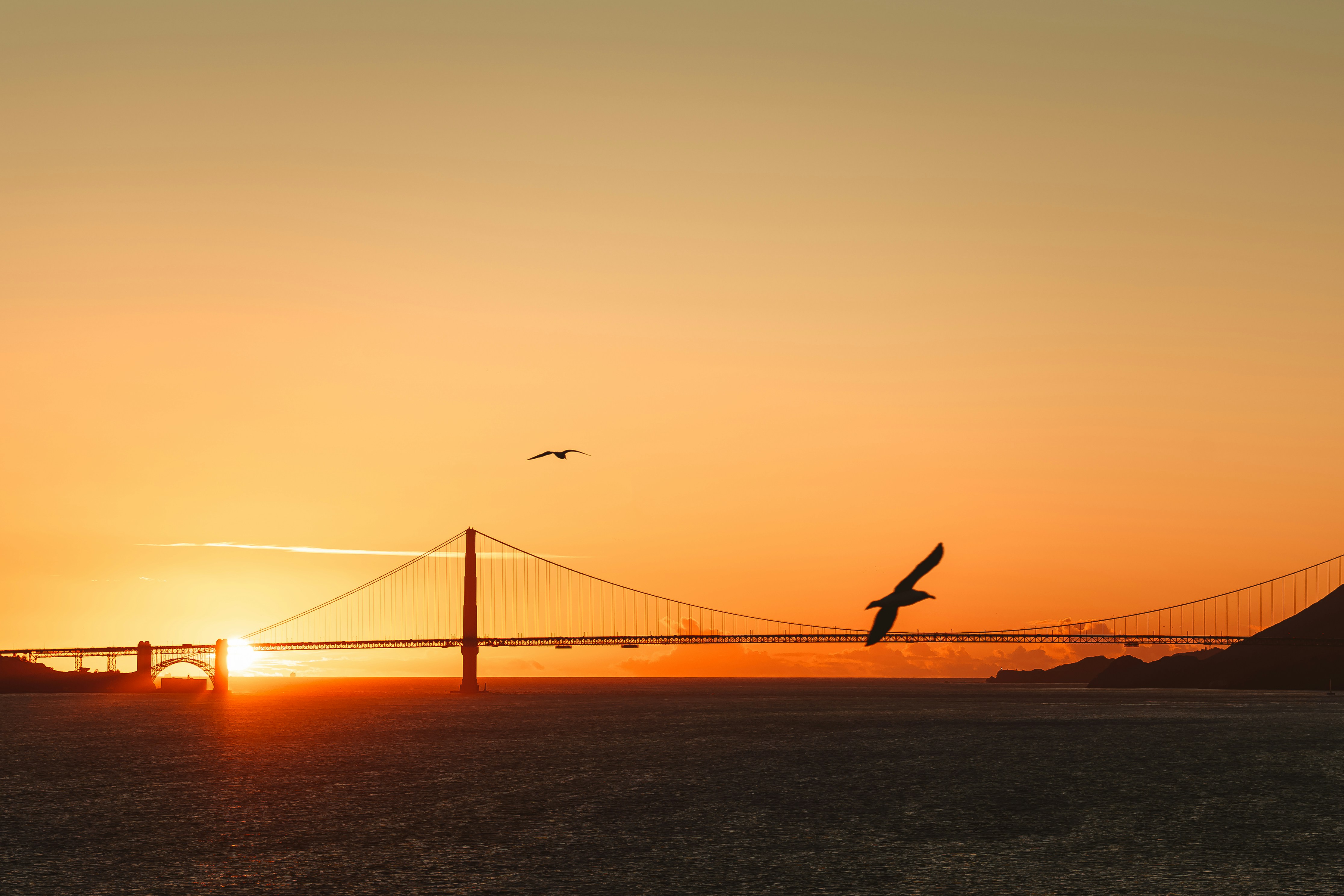 Photo by limamauro23