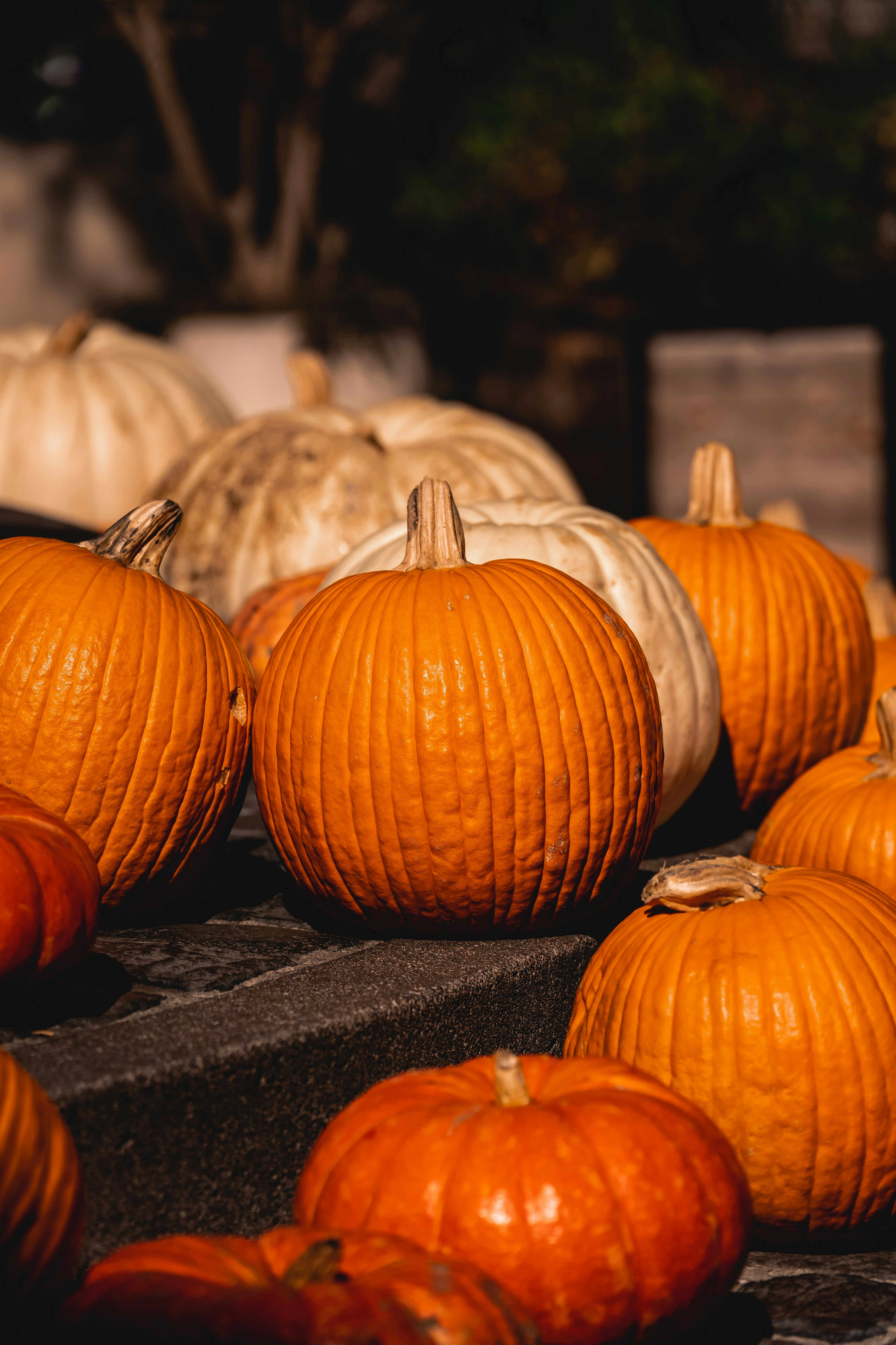 Photo by limamauro23