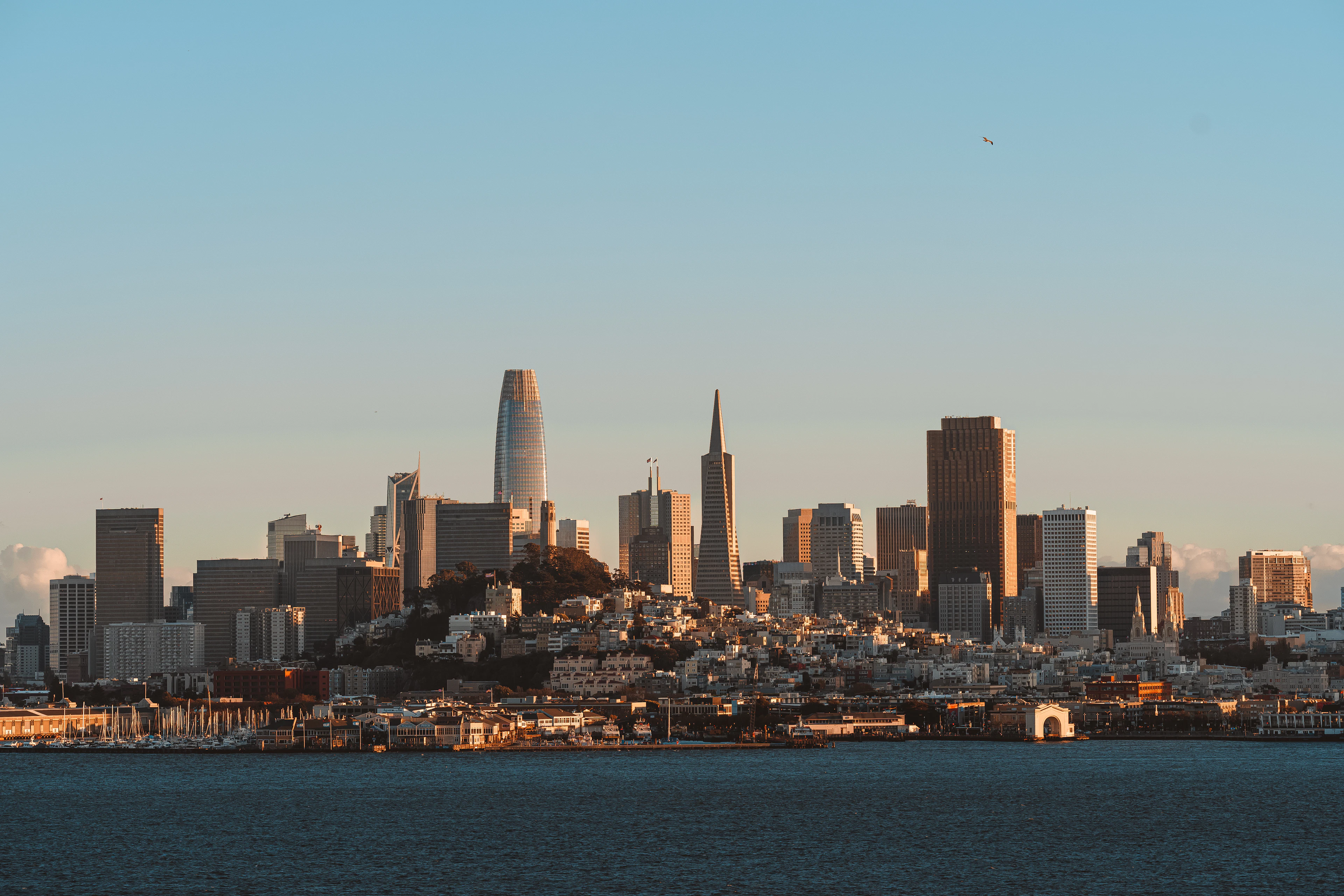 Ferry Building graze, San Francisco