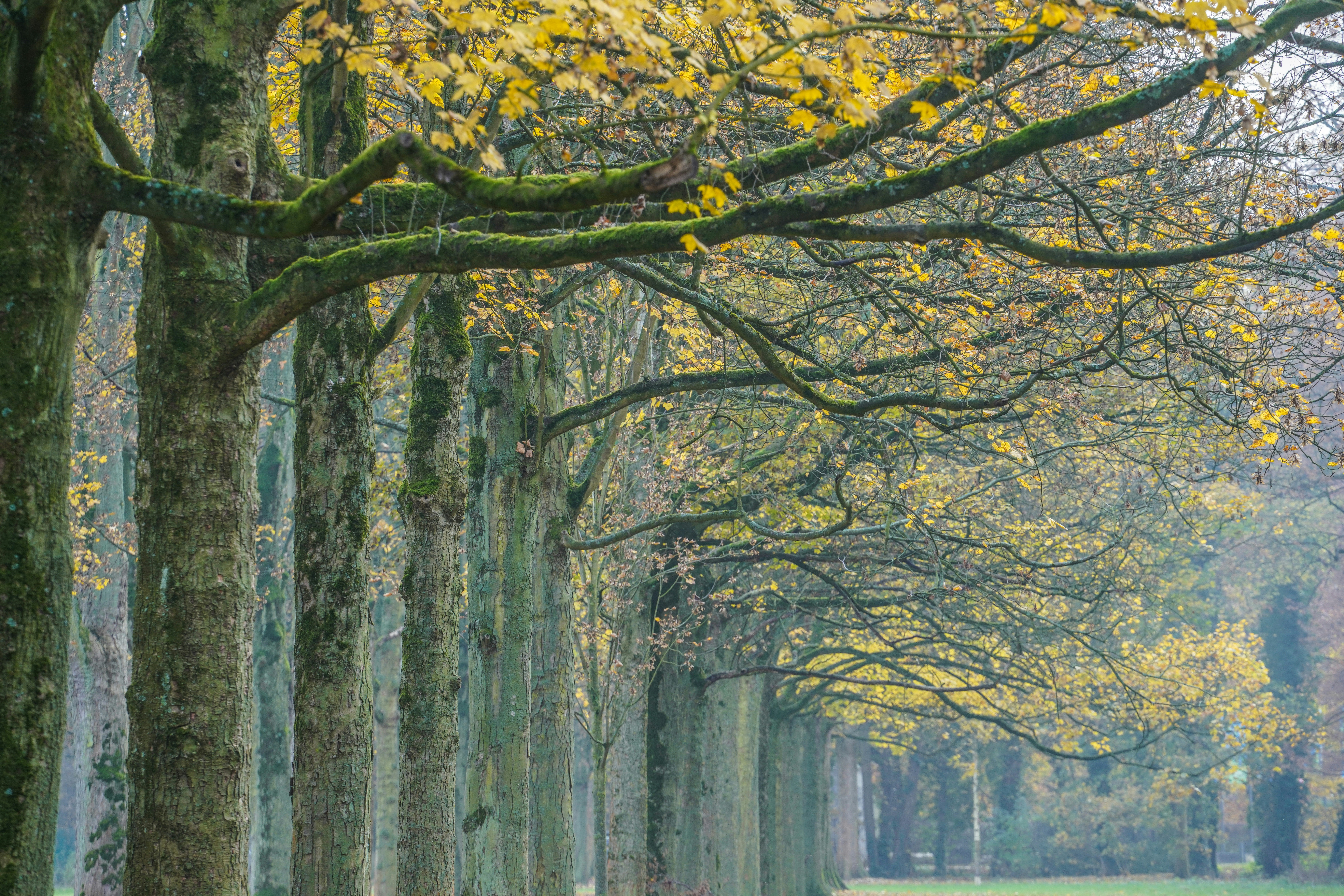 Photo by hooverpaul55