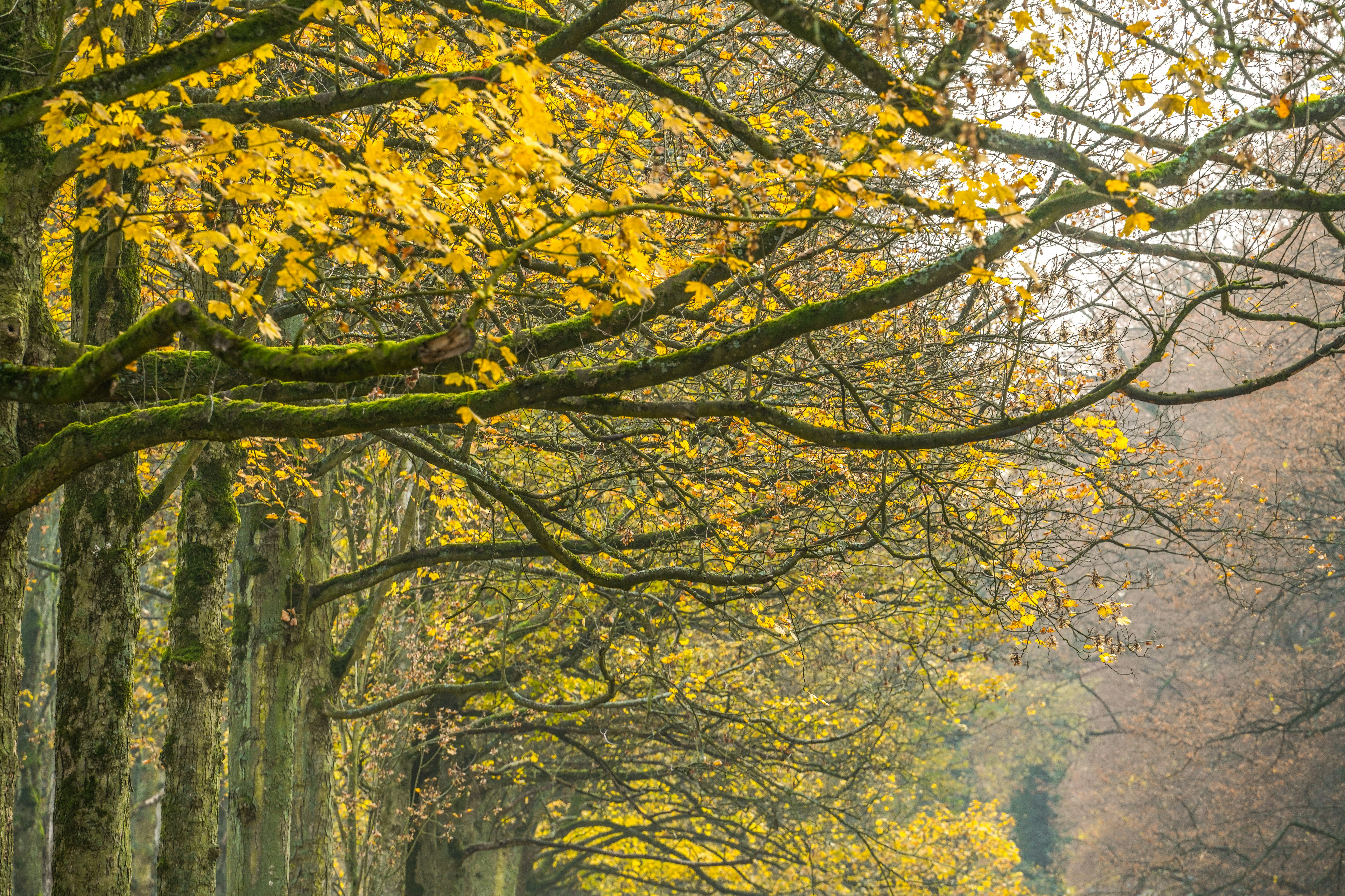 Photo by hooverpaul55