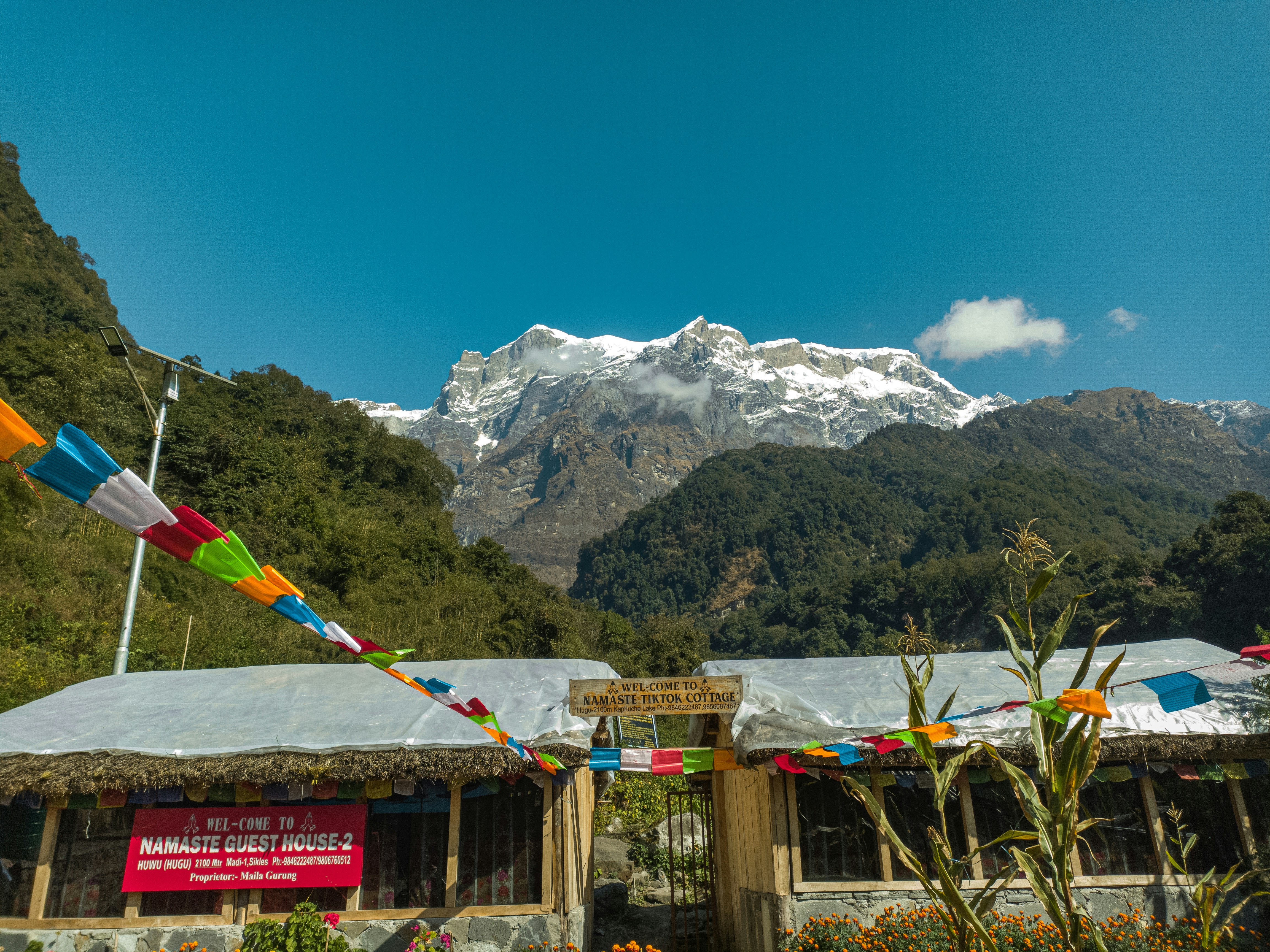 Photo by bhattarai17