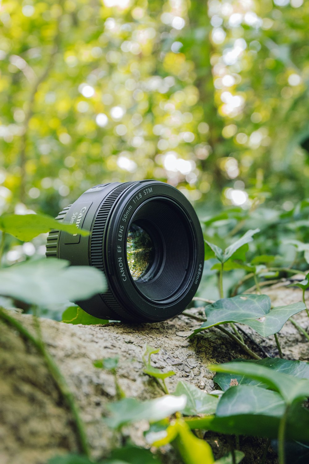 a camera lens on a rock