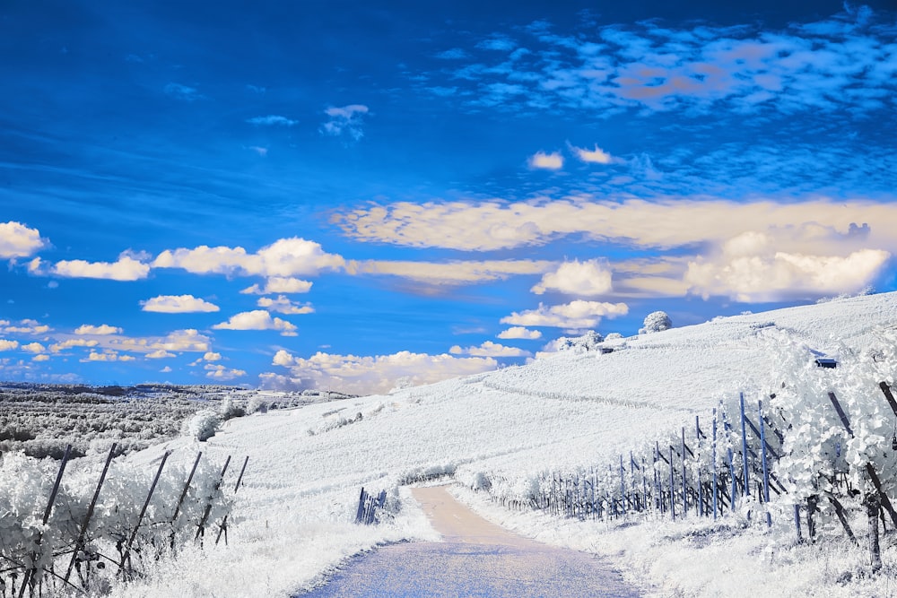 a snowy mountain side