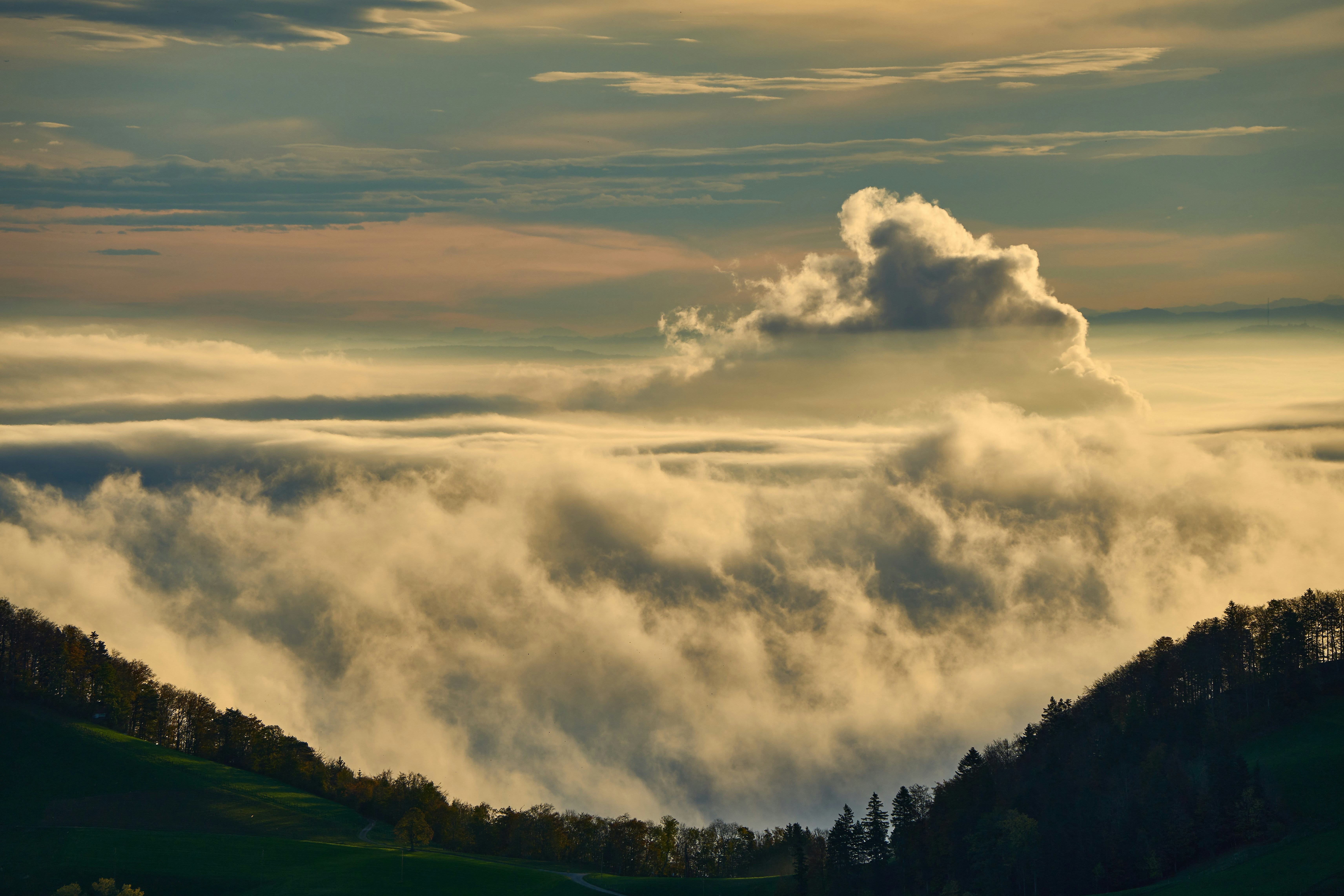 Photo by wolfgang_hasselmann