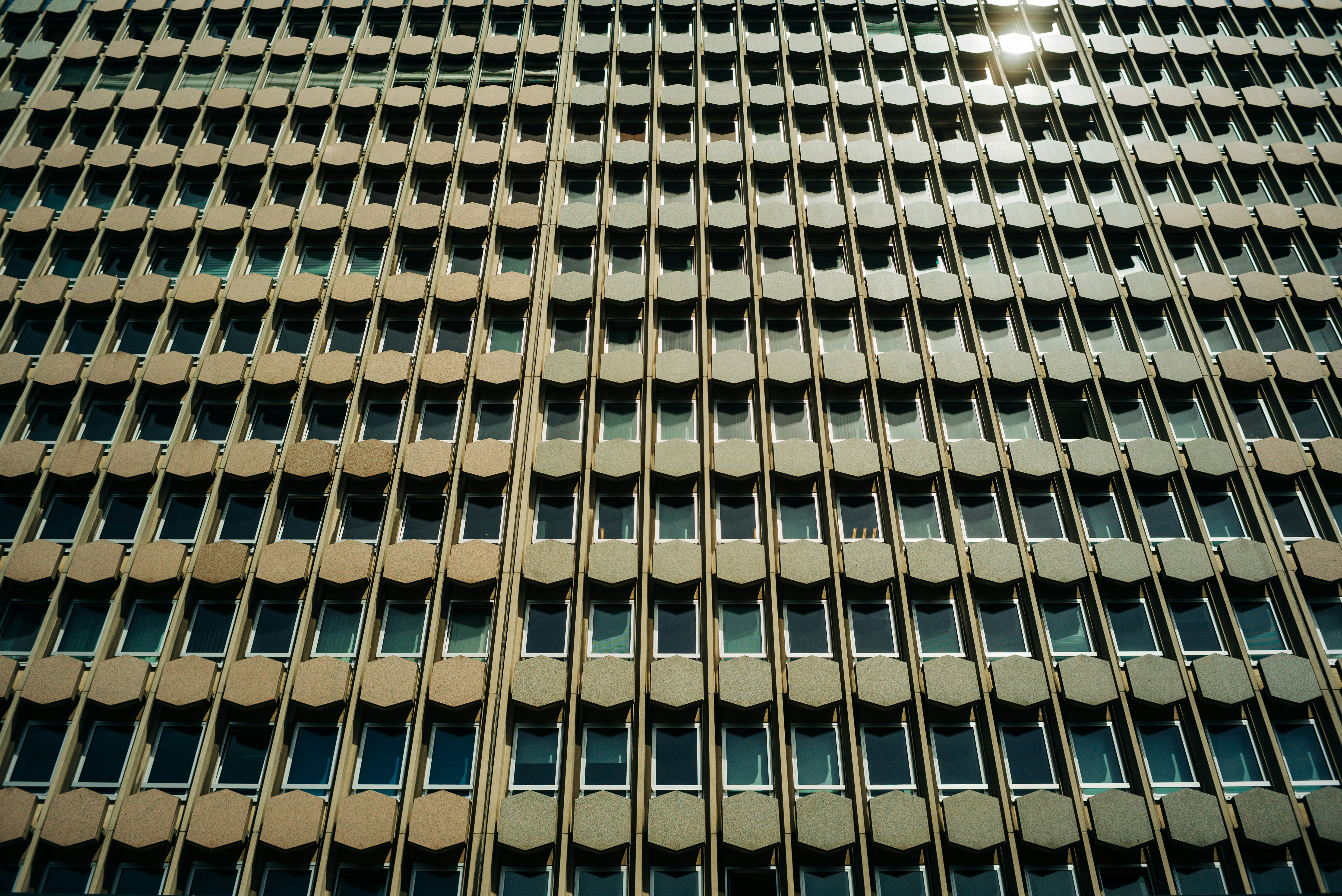 Photo by simonmaage