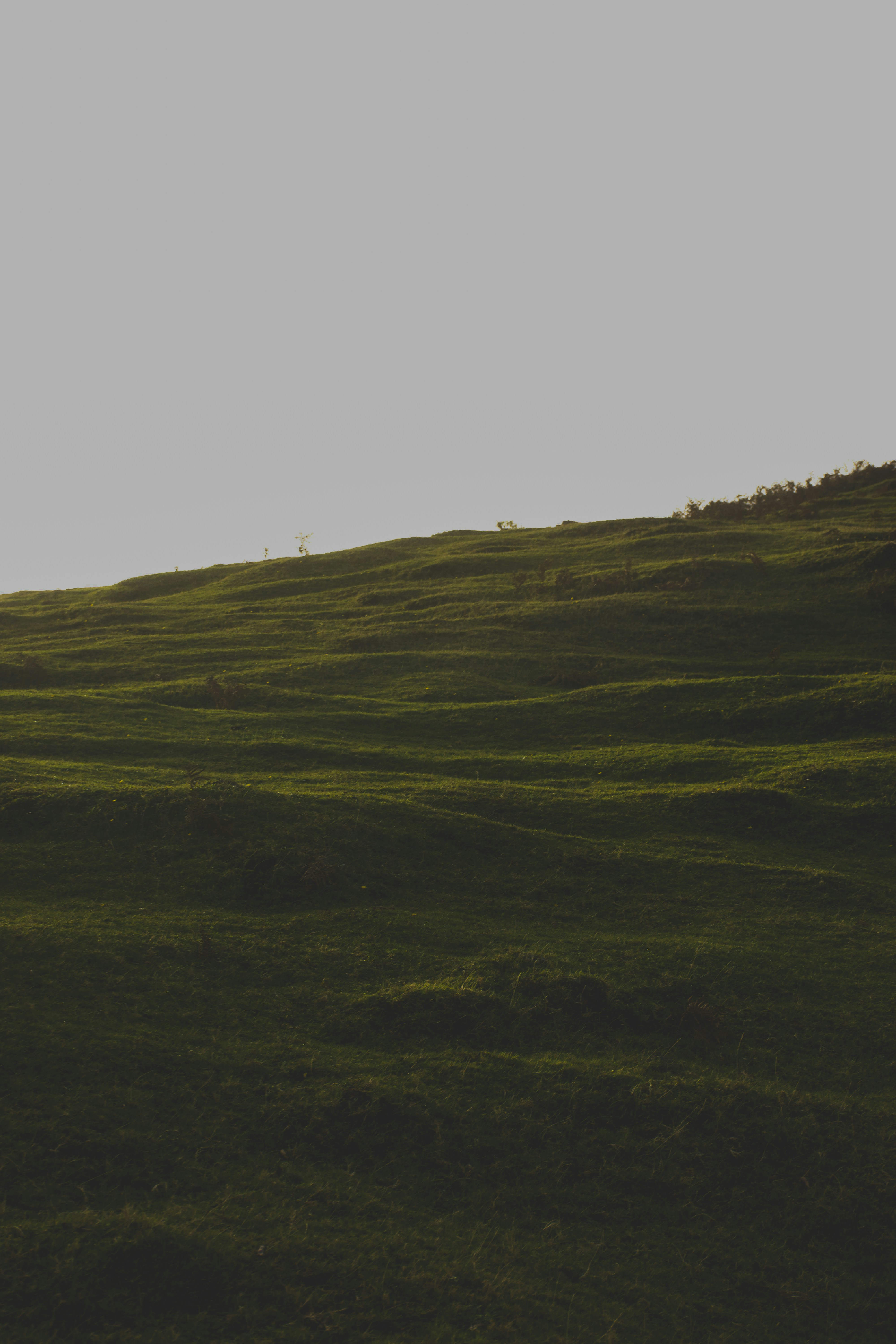 Photo by wheresalina